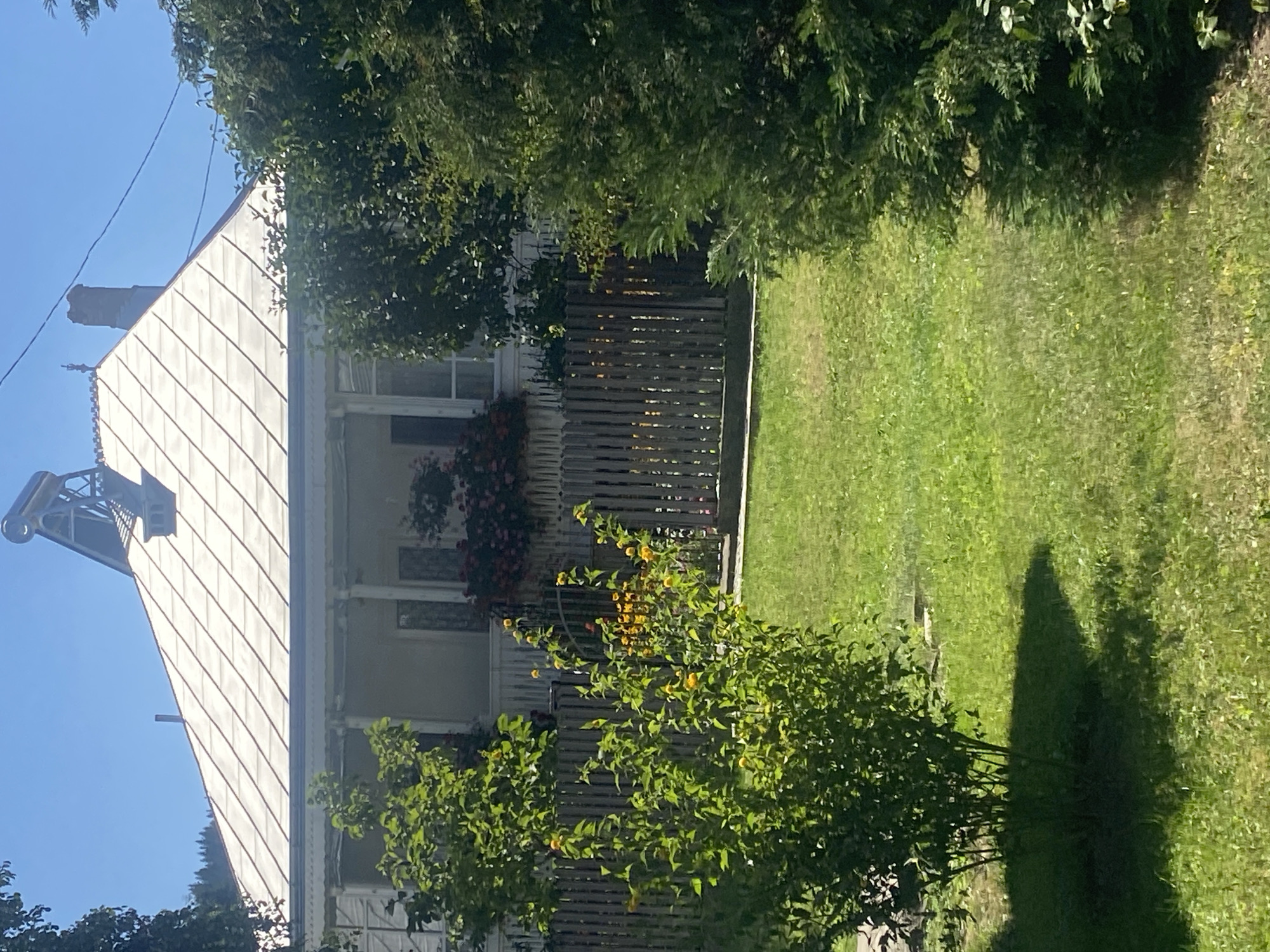 The image depicts a sunlit scene in Filioara, Romania, featuring a charming house with a white-tiled roof and a covered porch. A solar water heater is visible on the peak of the roof, along with a chimney. The house is framed by lush greenery, including a vibrant bush with yellow flowers in the foreground and a dense evergreen tree on the right. A weathered wooden fence separates the yard from the house. The yard is covered in neatly mowed green grass, with visible shadows cast by the trees. The sky is a clear, bright blue.