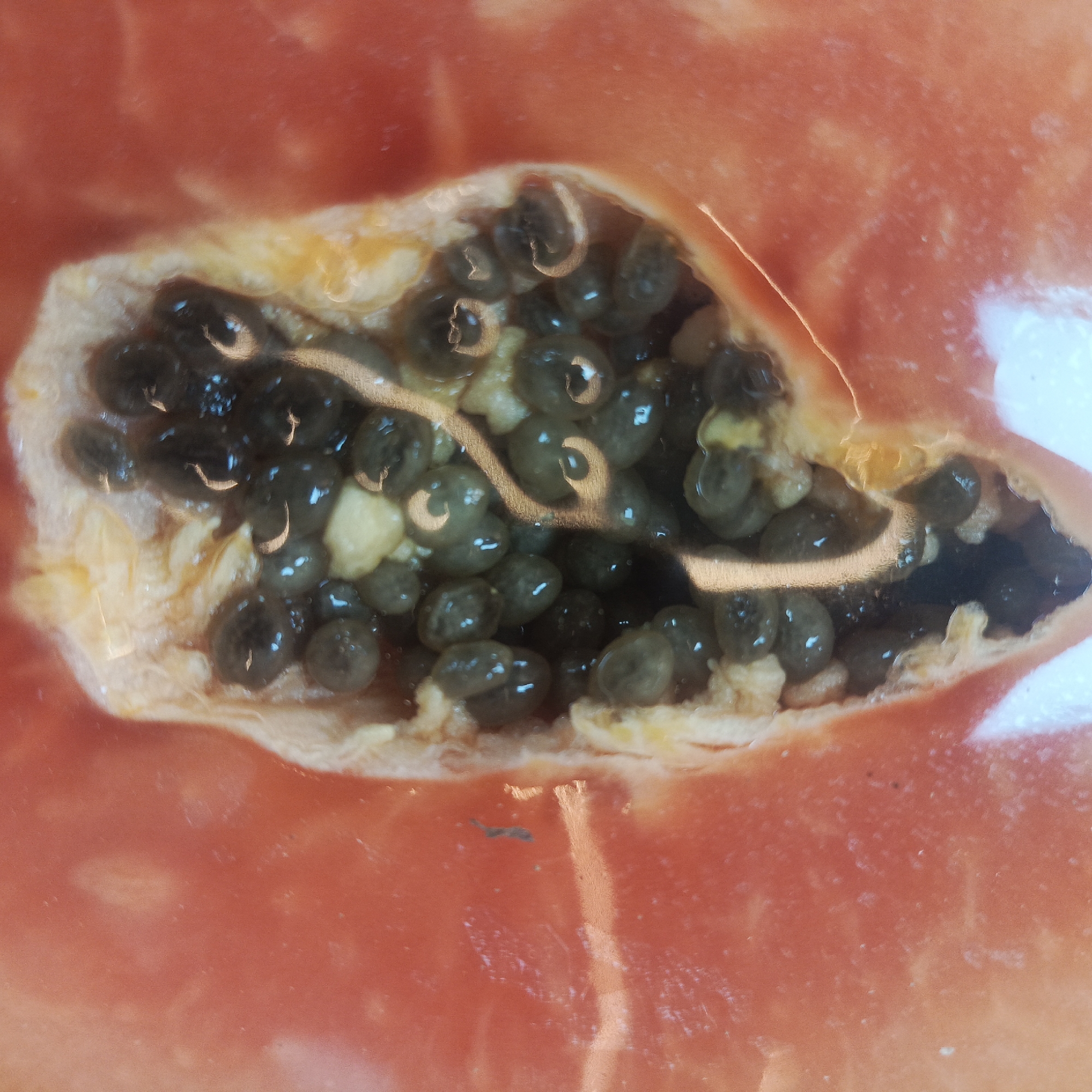 The image is a close-up, macro photograph of the interior of a halved papaya. The focus is on the dark, glossy seeds clustered within the fruit's cavity. The surrounding flesh of the papaya is a vibrant orange-red. Some of the seeds appear to have a light reflection or sheen on their surface. The texture of the fruit is visible, with some fibrous material around the seeds. The overall impression is one of extreme detail, highlighting the biological structure of the fruit. The context provided about Los Teques, Venezuela, is unrelated to the visual content of the image.