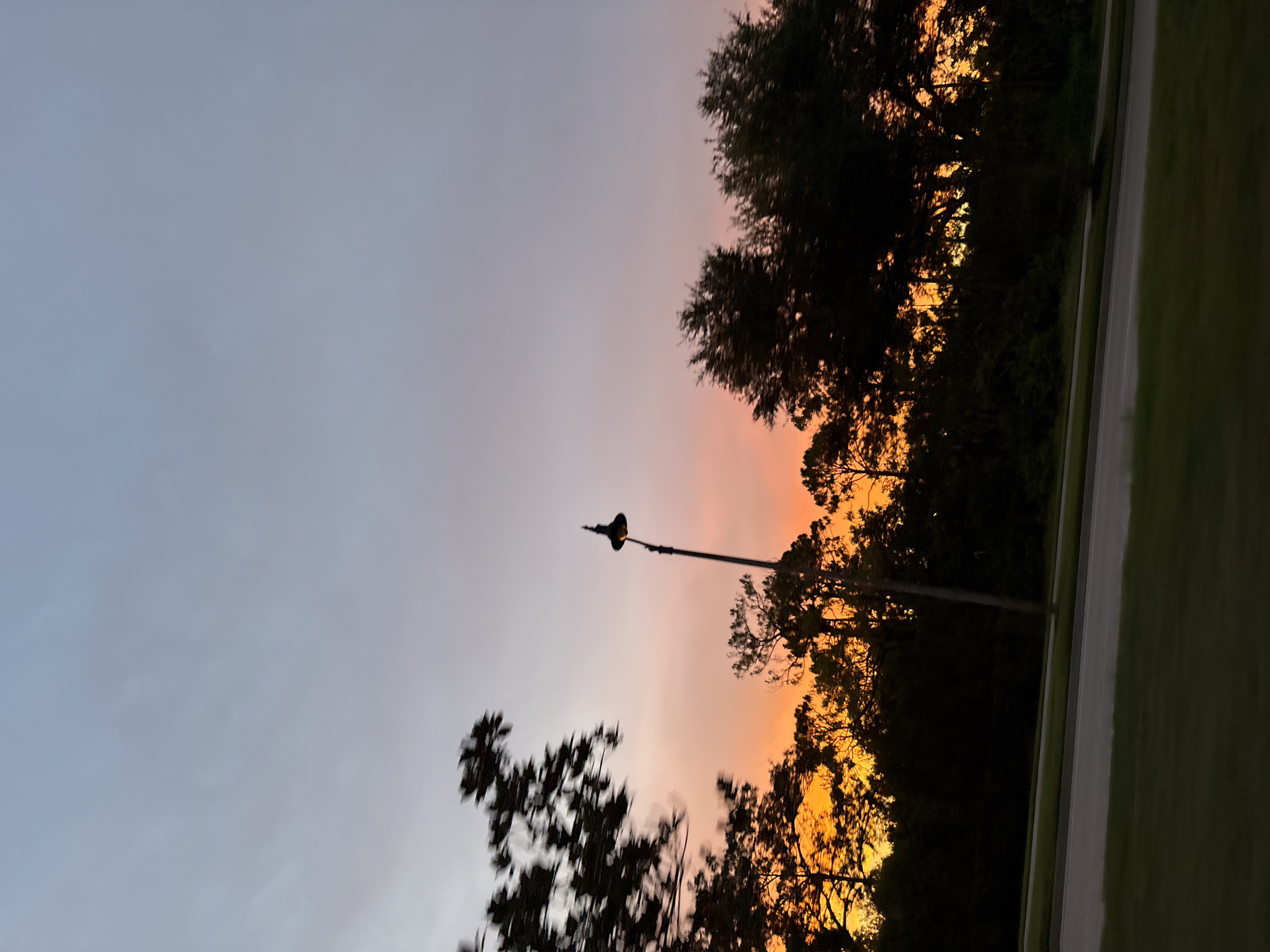The image captures a serene sunset scene in North Port, Florida, United States of America. The sky is painted with hues of pale blue and soft orange, transitioning into a vibrant golden glow near the horizon, indicative of the twilight hours. A silhouetted street lamp stands tall on the right side of the frame, its shape distinct against the colorful sky. The foreground is dominated by the dark silhouettes of various trees, their foliage creating a natural border against the sunset. A paved road runs horizontally across the lower part of the image, bordered by a strip of green grass. The overall atmosphere is tranquil and picturesque, evoking a sense of calm as day turns into night.