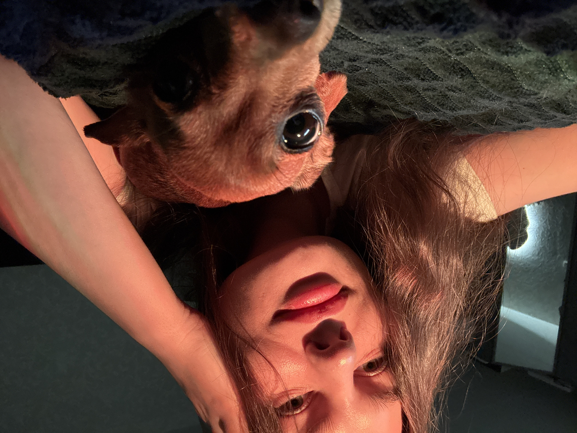 A young woman lies on her back, illuminated by a reddish light. A brown dog with prominent eyes is positioned above her head. The background consists of a dark-colored, textured fabric. The location within the city of Chaikovsky, Russia, cannot be determined from the provided image.