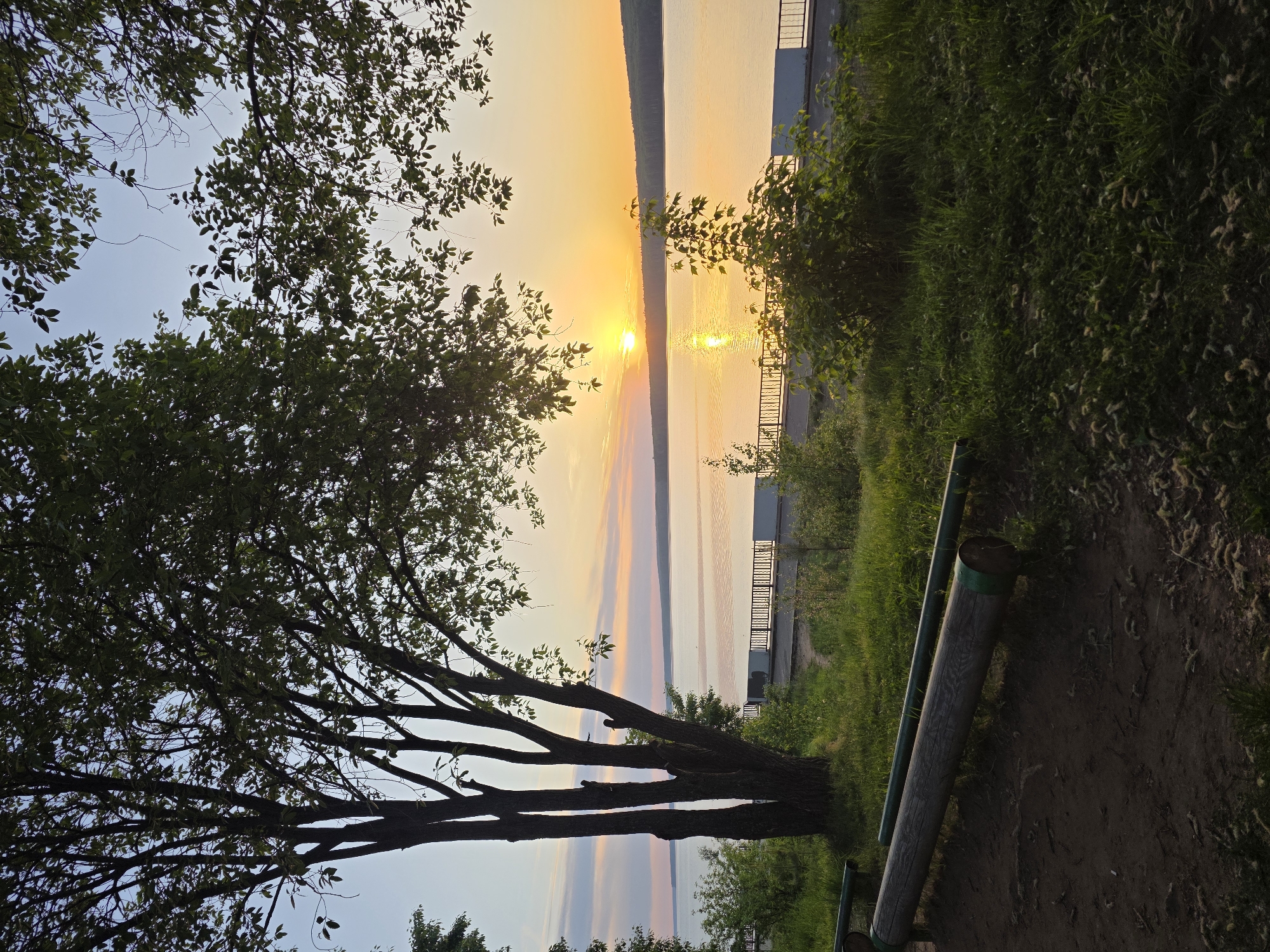 The image captures a sunset view over the Votkinsk Reservoir in Chaikovsky, Russia. A tree with abundant foliage frames the left side of the image, while green vegetation occupies the right side. A wooden handrail and a sandy path are visible in the lower right. The sunset casts an orange glow over the water and sky. A pier is seen in the middle ground.