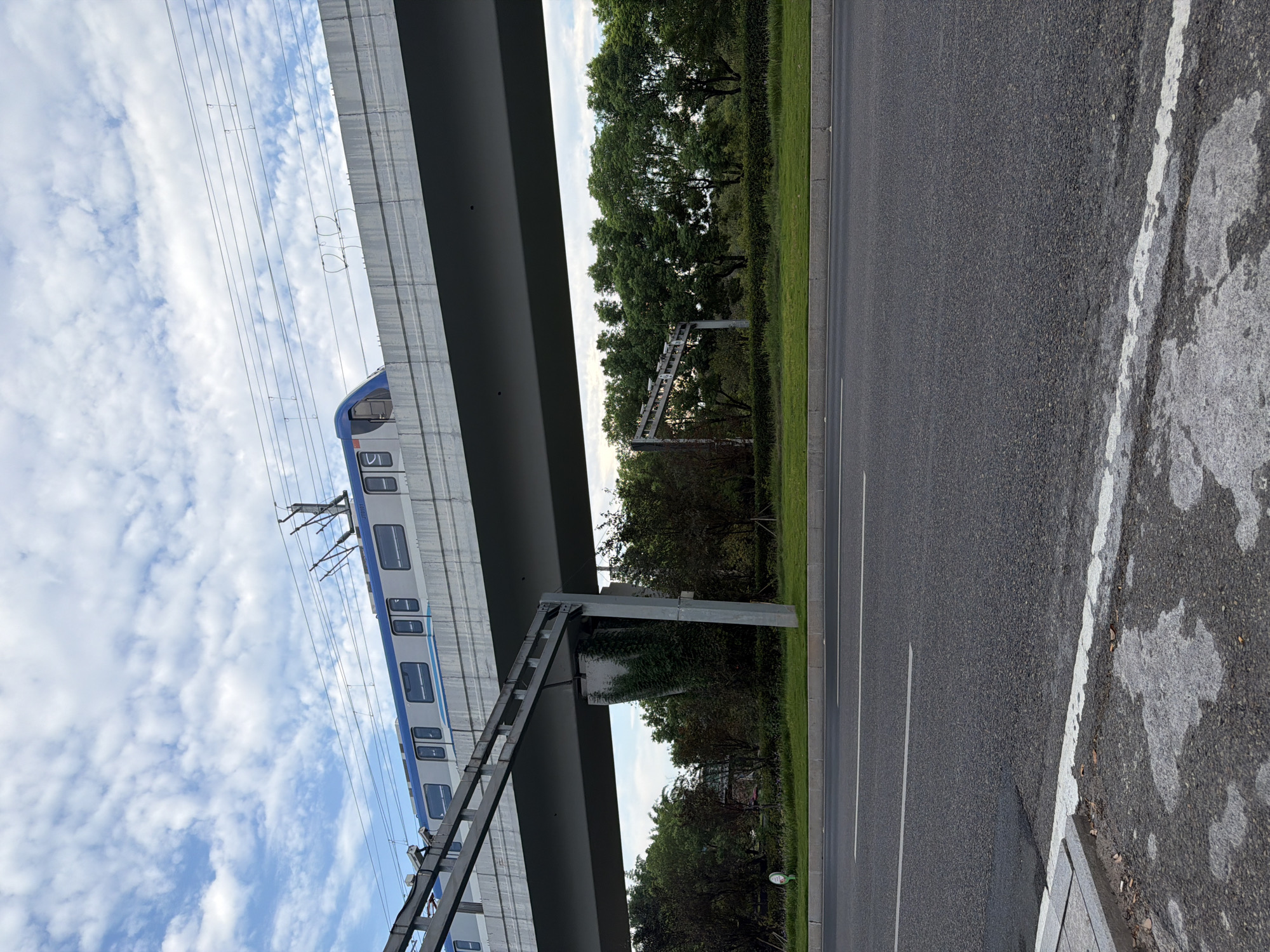 A sky train is traveling on an elevated track above a road in Jiangjin, China. The sky train is blue and white with multiple windows. The elevated track is supported by concrete pillars, one of which is covered in ivy. The road below is asphalt with white lane markings. There are trees and greenery on either side of the road. The sky is cloudy with patches of blue.