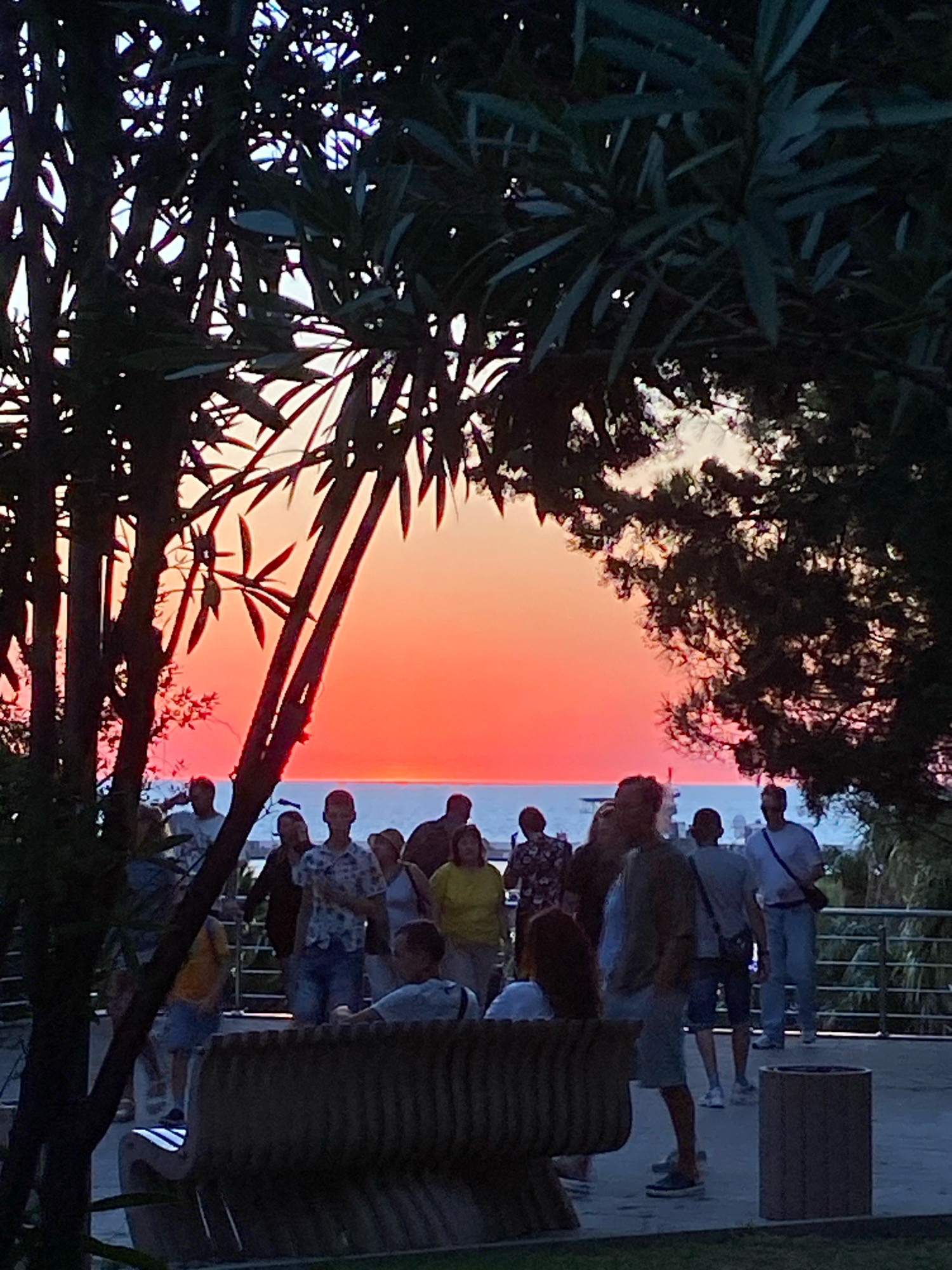 The image depicts a group of people gathered outdoors at sunset. The sky displays a vibrant gradient of orange and pink hues, transitioning to a lighter sky towards the horizon where the sea is visible. Silhouetted trees frame the scene, with dark branches and leaves obscuring parts of the sky and the people.
In the foreground, a decorative bench is partially visible, made of concrete or stone with metallic accents. To the right of the bench, a cylindrical trash receptacle stands. The ground appears to be paved.
A group of individuals are standing and interacting, with some facing the sunset and others facing the camera. Their clothing styles suggest a casual outdoor setting. Among the identifiable individuals are men and women of various ages. One man in the foreground is wearing a light-colored shirt and shorts, and appears to be looking towards the right. Another man further back is wearing a patterned short-sleeved shirt and denim shorts. A woman in a yellow top is also visible.
In the background, a railing or fence runs along what appears to be a walkway or promenade, with the sea beyond it. The overall atmosphere suggests a public gathering place, possibly a park or waterfront area, during a beautiful sunset. The location is specified as Sochi, Russia.