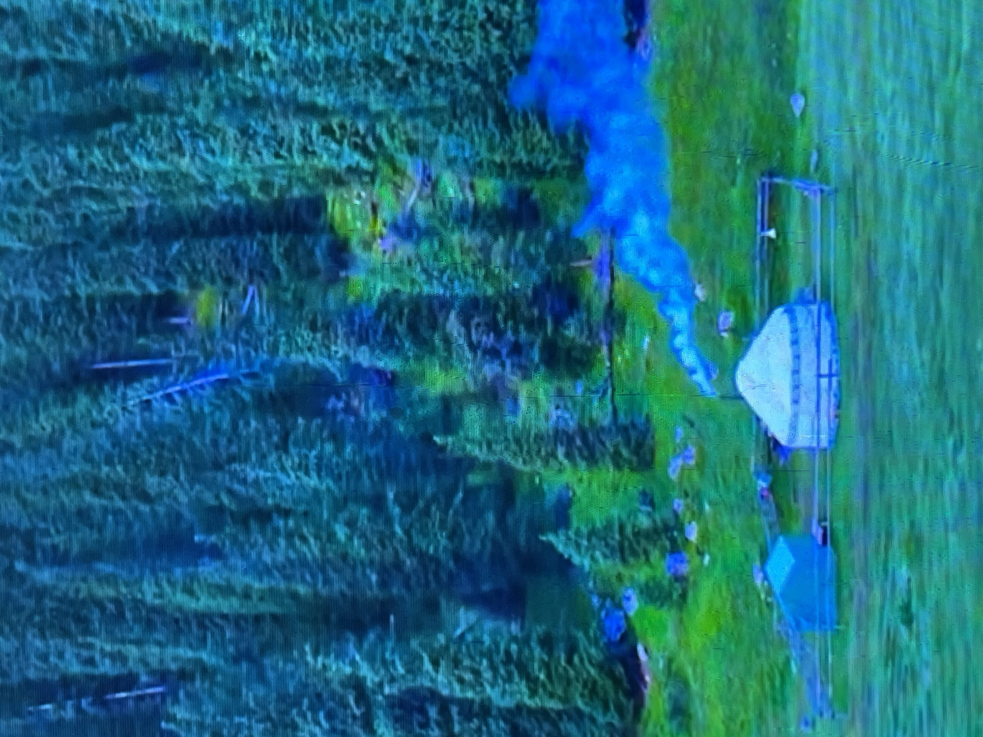 The image depicts a rural scene with a dense coniferous forest in the background, likely in a mountainous region. In the foreground, there are two yurts, traditional nomadic dwellings. One yurt is white with a conical roof, and a plume of blue smoke is rising from its center, indicating an active fire or chimney. Adjacent to it, to the left, is a smaller, light blue yurt. A simple fence surrounds the yurts. The landscape is predominantly green with grassy meadows and scattered rocks. The overall impression is one of a remote, natural environment, potentially a campsite or a small settlement in a forested area. The location is specified as Bishkek City, Kyrgyzstan, which aligns with the visual characteristics of mountainous regions and traditional dwellings found in Central Asia.