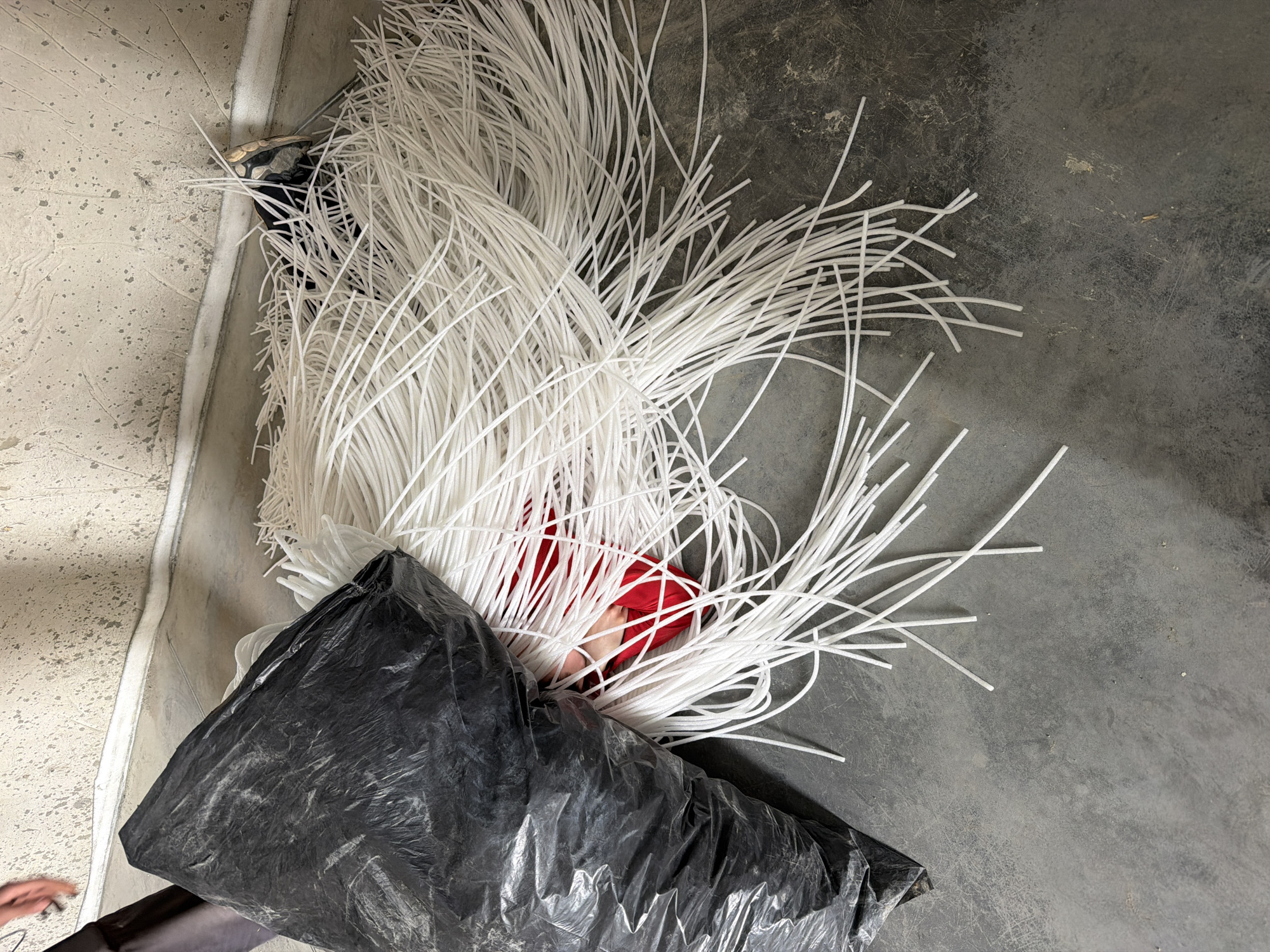 The image presents an overhead view of an indoor industrial or workshop setting. The central focus is a large, sprawling pile of numerous white, flexible, tube-like strands or cords, possibly made of plastic or similar material. These strands are spread across a dark grey concrete floor, which shows variations in texture and some scuff marks.
In the foreground, a large, crumpled black plastic bag is visible, positioned near the bottom of the white pile. A person's hand and lower arm, clad in a red long-sleeved garment, are seen reaching into or from beneath the white strands near the black bag, suggesting an activity of sorting, moving, or packaging the materials. Another person's hand and a dark sleeve are partially visible at the bottom-left corner of the frame. A dark sandal or shoe, with a patterned sole, is partially obscured by the white strands near the upper left, resting against a lighter, textured wall or partition that runs along the left side of the scene.
The environment appears functional, likely a storage or processing area. No specific time of day or weather conditions are discernible, consistent with an indoor setting. There is no visible text in the image. The overall impression is one of ongoing manual work involving bulk materials.