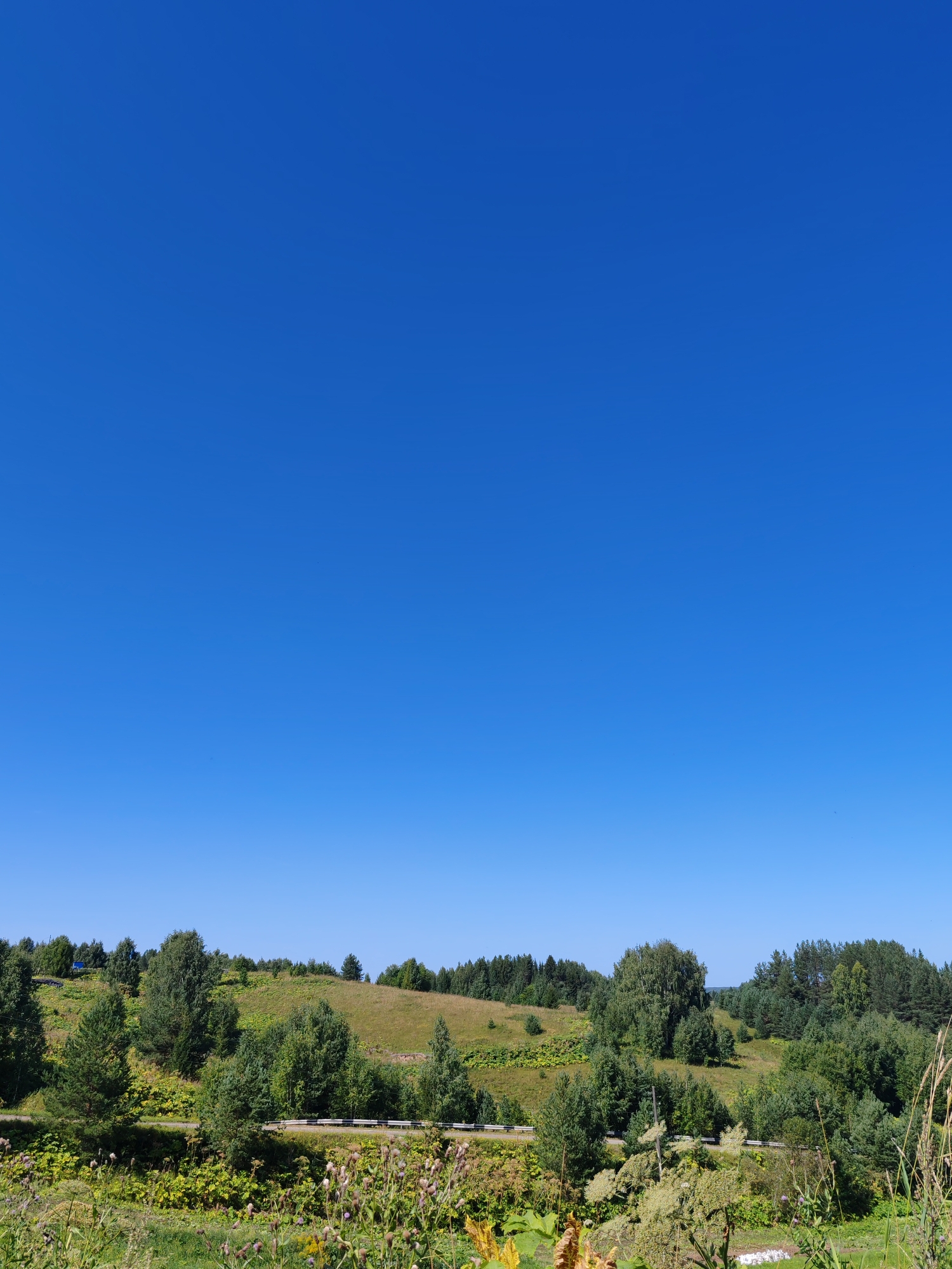 A bright, clear blue sky dominates the upper portion of the image. Below the sky, a rolling, green landscape unfolds, characterized by undulating hills covered in grass and scattered trees. A road with a white and black barrier runs horizontally across the middle ground. Various types of trees, including evergreens and deciduous varieties, are visible on the hillsides and along the road. In the foreground, there is lush green vegetation, including wild plants and flowers, adding texture and color to the scene. The overall impression is one of a rural, natural setting under a sunny sky. The location is identified as Chukhlem, Russia.
