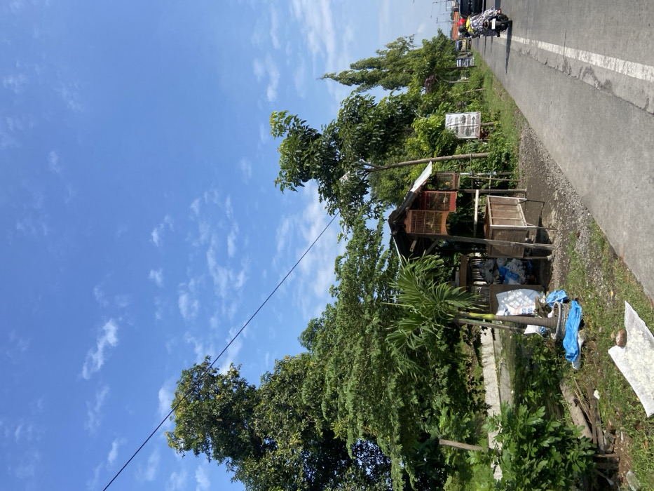 A roadside stall with a wooden structure and cages is located in Kecamatan Tulangan, Indonesia (latitude: -7.478, longitude: 112.642). The stall sits on the edge of a paved road with a white dividing line. A motorcycle is parked on the right side of the road. Lush green vegetation is present along the roadside and in the background. A bright blue sky with white clouds dominates the image. The overall scene is peaceful and devoid of people.