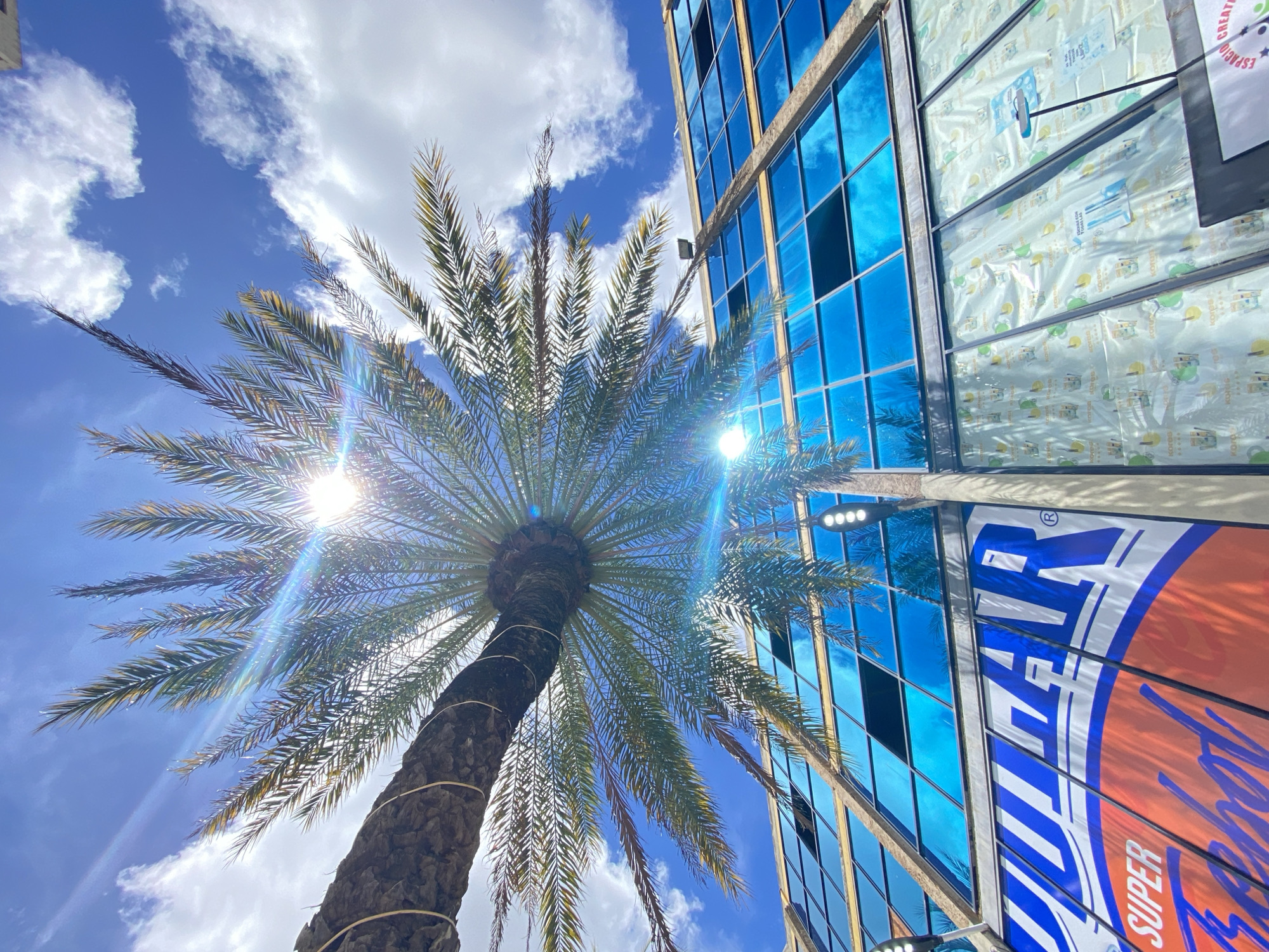 The image, taken from a low angle, shows a palm tree with its fronds spread out against a bright blue sky with scattered white clouds. The sun is shining through the fronds, creating a lens flare effect. To the right of the palm tree is a building with blue, reflective windows. A banner partially obscures the building and reads "SUPER...AR" on its lower portion. The environment suggests a tropical or subtropical location. The city and country specified in the prompt are not explicitly depicted in the image, so no conclusions can be made about the location being Juan Griego, Venezuela from visual information only.