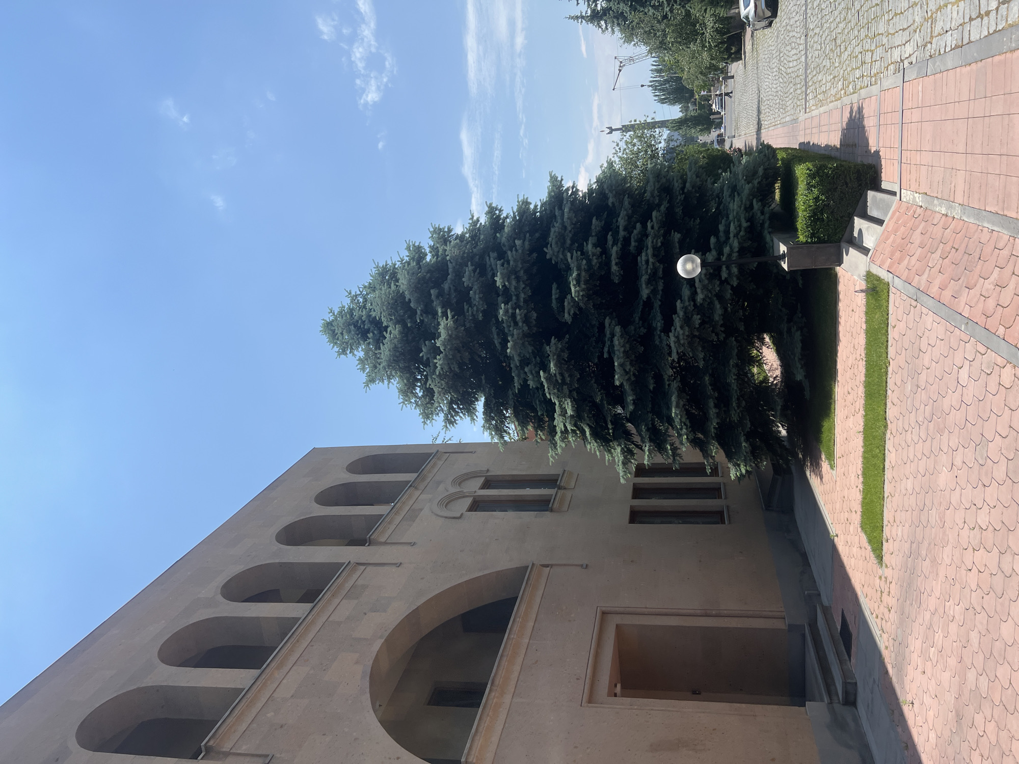 The image shows a sunny daytime scene in Yerevan, Armenia, likely in front of a building with a beige, stone facade featuring arched windows and balconies on the upper levels. A large, mature pine tree stands prominently in the foreground, casting a shadow on the adjacent paved walkway. The walkway is constructed with two distinct types of paving stones: smaller, reddish-pink ones in the foreground and larger, grey cobblestones further down the street. A lamppost with a spherical light fixture is situated next to the pine tree. Beyond the tree, a street lined with more trees and buildings extends into the distance. A statue or monument can be seen in the far background, along with what appears to be a construction crane. There are no people visible in the immediate foreground, but a few figures are present further down the street, along with parked vehicles. The sky is a clear blue with a few wispy clouds.