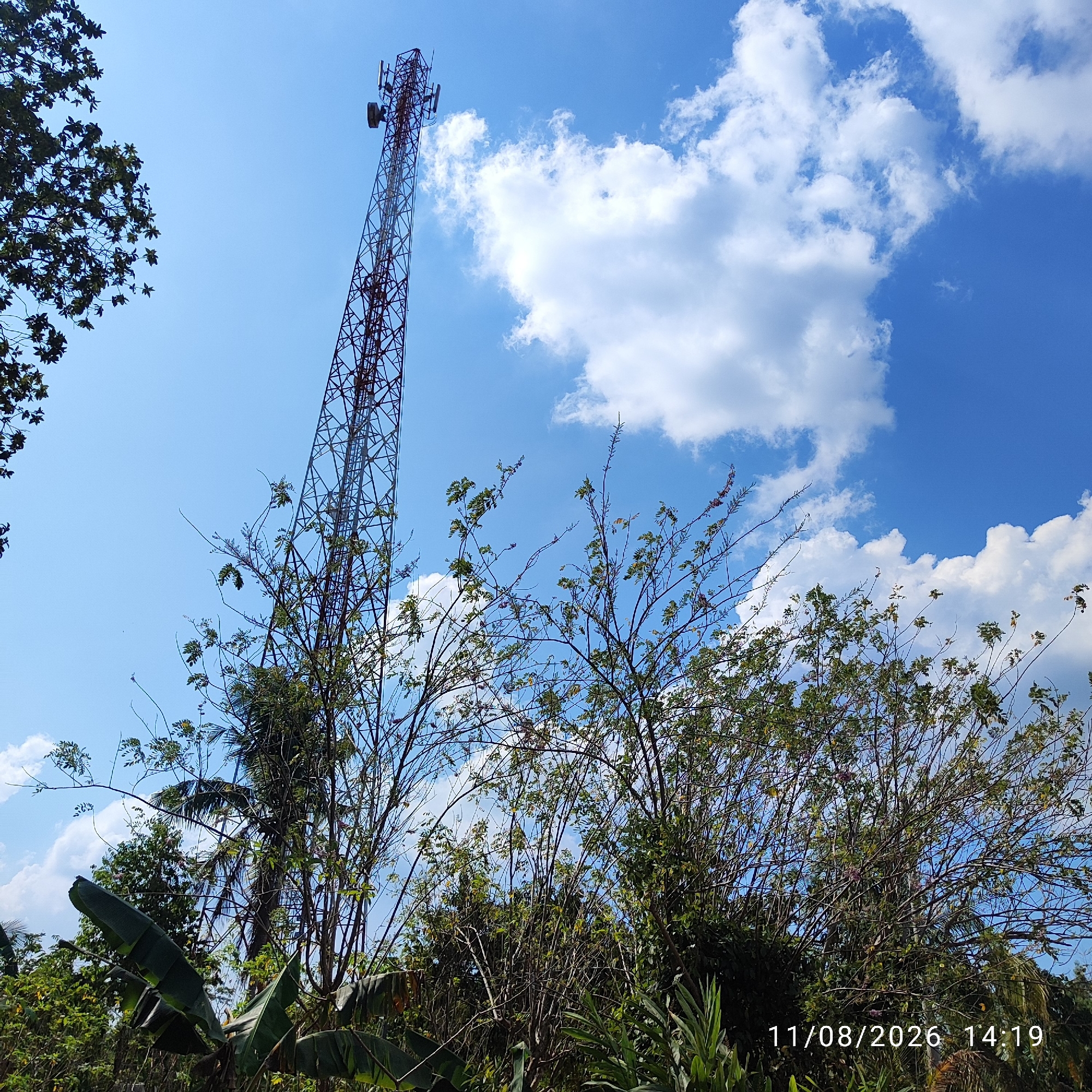 In the city of Pembaharuan, Indonesia, a tall, red and white lattice telecommunications tower stands prominently against a bright blue sky dotted with fluffy white clouds. The tower is equipped with multiple antennas. In the foreground, lush green foliage, including banana leaves and other trees, partially obscures the base of the tower and the surrounding environment. The date "11/08/2026" and time "14:19" are superimposed on the lower right portion of the image. No people are visible in the scene. The overall impression is an outdoor, rural or semi-rural setting with a focus on the telecommunications infrastructure and natural vegetation.