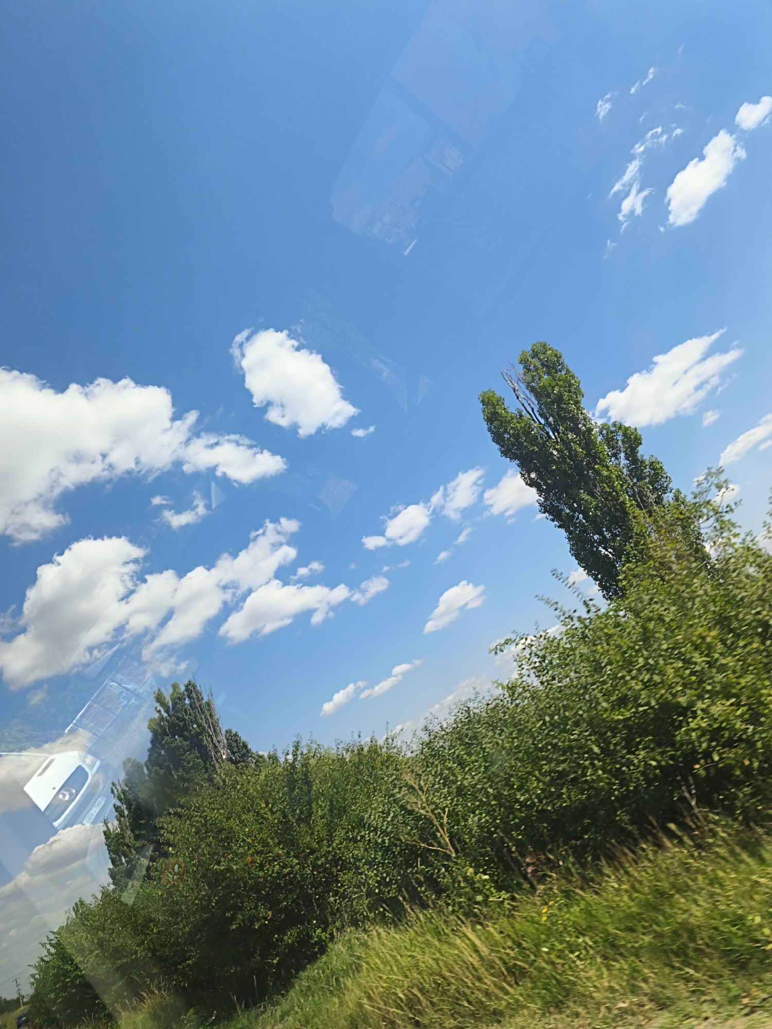 The image captures a bright, sunny day with a clear blue sky dotted with fluffy white clouds. In the foreground, lush green trees and tall grass create a vibrant natural landscape. A tall, slender tree with dense foliage stands out against the sky. In the upper left portion of the image, a reflection in what appears to be a window shows a white vehicle, possibly a car or van, and abstract patterns of light and buildings, indicating the shot was taken from inside a moving vehicle. The scene suggests an outdoor environment, possibly a roadside or a rural area near Tohatin, Moldova, given the context. There are no people visible in the image.