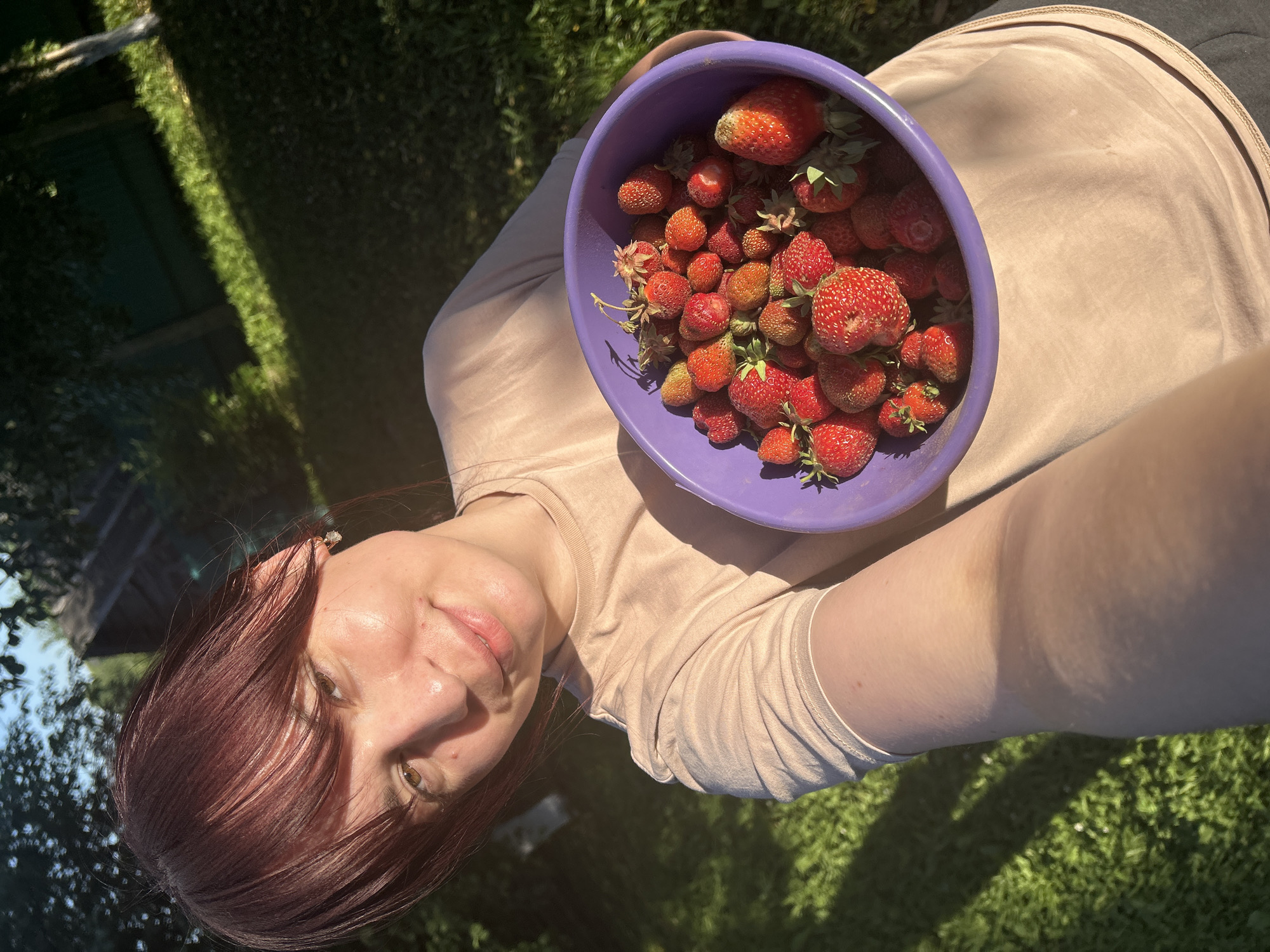 A woman is taking a selfie outdoors, holding a purple bowl filled with fresh strawberries. The bowl is positioned to the upper right of the frame. She is wearing a light-colored t-shirt. Her hair is dark red and falls across her face, partially obscuring her features. She is smiling slightly at the camera. The setting appears to be a garden or grassy area, with sunlight casting shadows on the ground. The background shows lush green foliage and a hint of what might be a wooden structure, possibly a shed or fence. The lighting suggests it is a sunny day. The overall mood is cheerful and relaxed, indicative of a pleasant outdoor activity like harvesting or enjoying fresh produce. There is no visible text in the image.