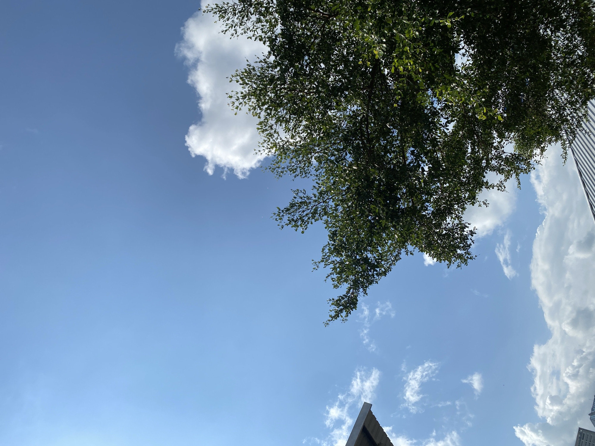 This is a low-angle shot of a bright blue sky with scattered white clouds, taken in Gambut Barat, Indonesia. The upper left corner shows a portion of a building's angled roof, and a large tree with dark green leaves occupies the right side of the frame, reaching into the sky. The sunlight is bright, casting a slight glare in the upper left. There are no people or animals visible in the image.