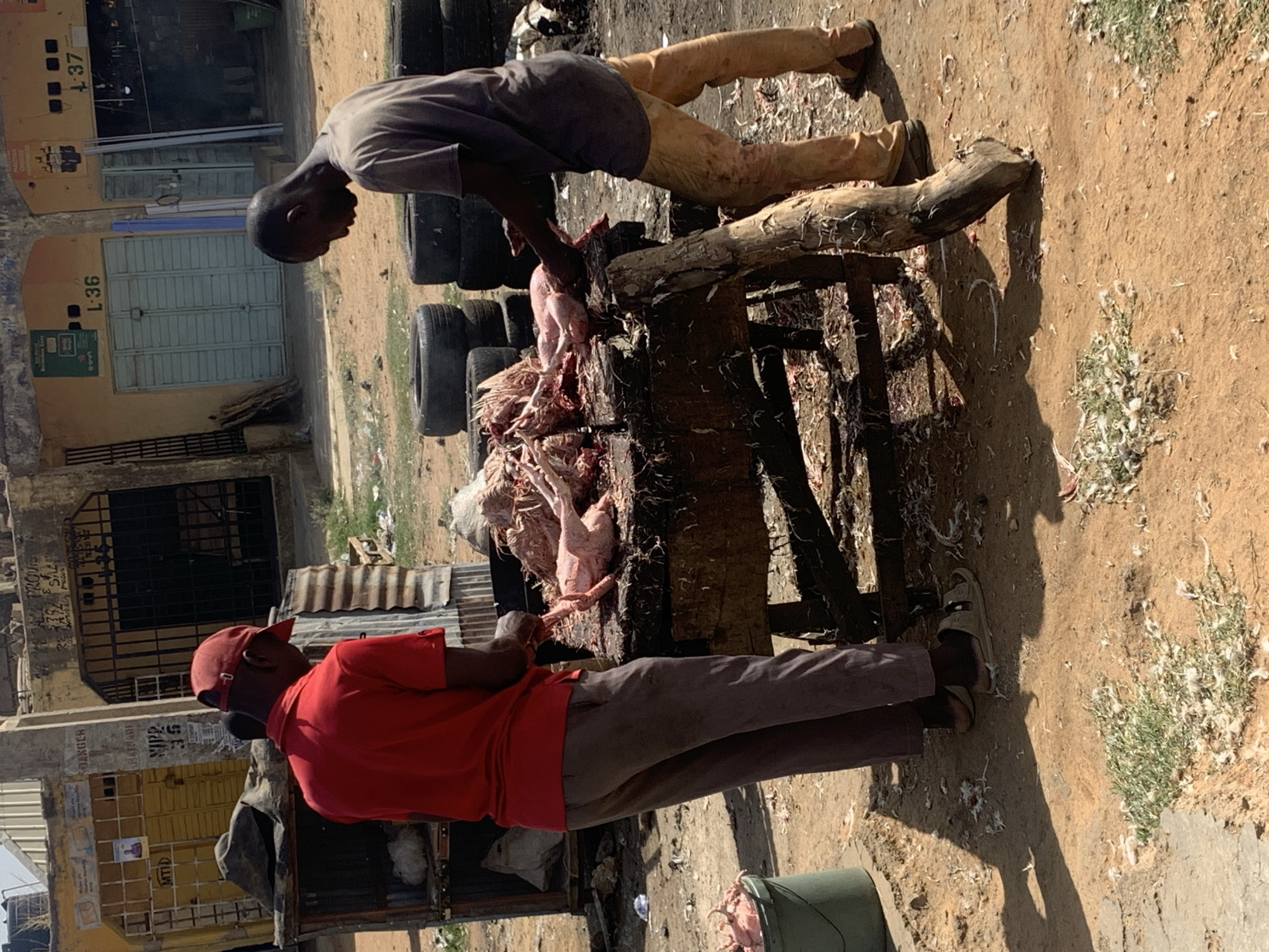 Two men are butchering poultry on a crude wooden table in an outdoor setting in Jos, Nigeria. The men are dressed in casual clothing. One man is wearing a gray shirt and tan pants, the other a red shirt, gray pants, and a red cap. Several butchered chickens are on the table. A bucket containing chicken parts is on the ground. The background includes urban structures, tires, and dirt. The location is identifiable as Jos, Nigeria, based on architectural styles and environmental characteristics.