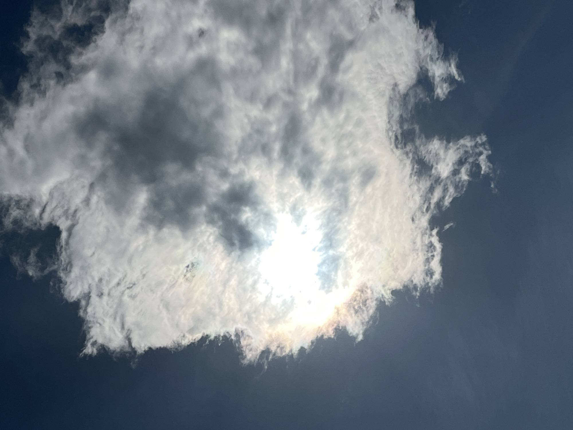 The image shows a close-up, upward-facing shot of the sky with clouds and the sun. A bright, luminous sun is partially obscured by a large, textured cloud. The cloud exhibits a range of colors, with iridescent hues of pink, yellow, and blue bordering the sunlit area, suggesting the presence of a cloud iridescence phenomenon. The rest of the cloud is a mix of bright white and darker gray tones, indicating varying thickness and light penetration. The sky is a deep, clear blue in the areas not covered by clouds. The composition focuses on the interaction of light with the cloud formations, creating a dynamic and visually striking sky. The scene is set in an outdoor environment, likely during daytime, with no discernible urban features or people.