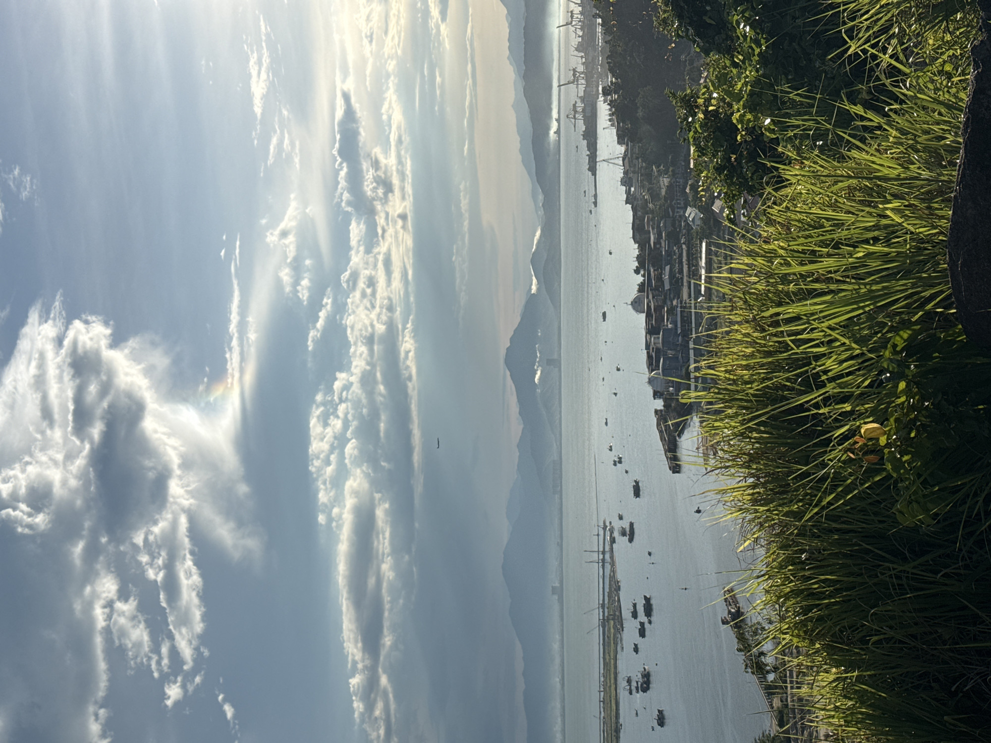 The image depicts a panoramic view of a coastal city, likely Đà Nẵng, Vietnam, with a harbor in the mid-ground and mountains in the background. The foreground is dominated by lush, green tall grass. The harbor is filled with numerous boats of varying sizes, from small fishing vessels to larger cargo ships and cranes at a port. Buildings and structures line the coastline, with some appearing to be residential and others industrial. In the distance, a range of hazy blue mountains forms the horizon, with a faint airplane visible in the sky. The sky is a mix of blue and dramatic clouds, with sunlight breaking through, creating a bright, almost ethereal atmosphere. There are no people visible in the image.