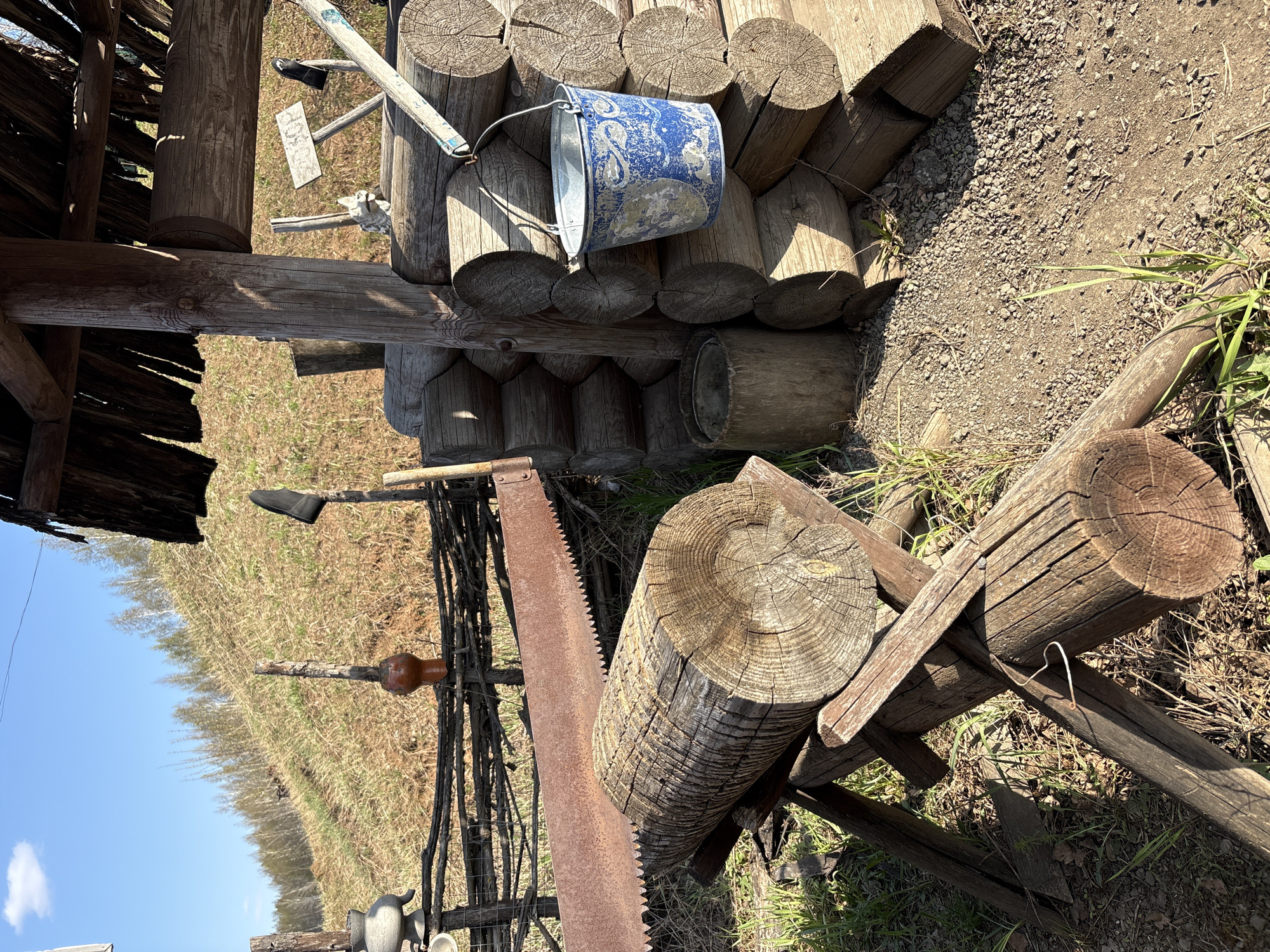This photograph, taken in what appears to be a rural setting near Bol'shoi Mashlyak, Russia, depicts an outdoor scene with various rustic objects. A stack of logs lies in the background, with a blue and white bucket resting on top. In the foreground, a large rusty saw is positioned next to a wooden sawhorse holding a thick log. The environment includes bare ground, patches of grass, and what appears to be the edge of a building or structure on the left side of the image. Other tools or objects are partially visible, suggesting a workshop or storage area. The composition and lighting suggest a sunny, daytime scene.