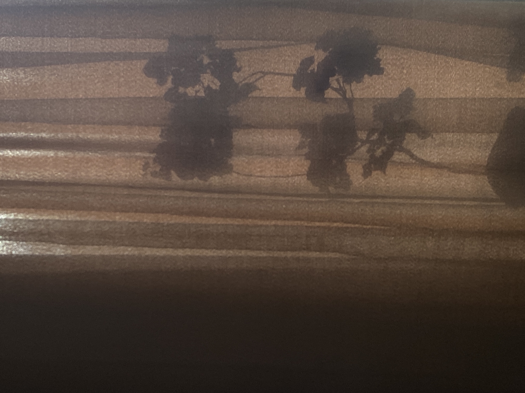 The image shows the blurred silhouettes of plants against a backdrop of horizontal lines. The horizontal lines suggest venetian blinds or a similar window covering. The background color is a muted brown. The plants appear to be outdoors, casting shadows onto the blinds from a window. There are no people visible in the image. The image provides no location information.