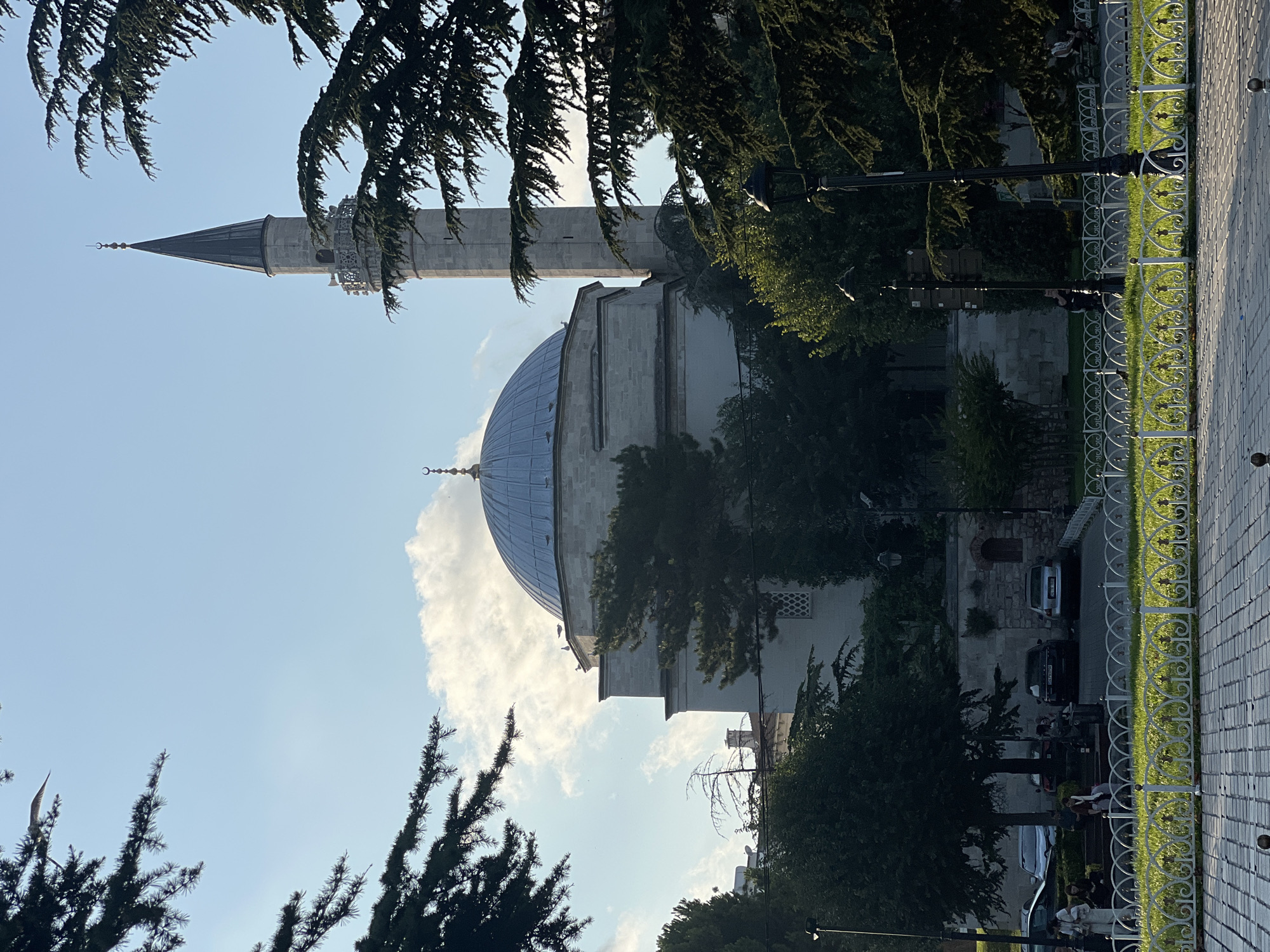This is a daytime, eye-level, exterior, medium shot of the Blue Mosque in Istanbul, Turkey, seen from a slightly elevated vantage point. The mosque's dome and minaret are prominent, framed by the dark green branches of evergreen trees. The sky is a clear, light blue with a few wispy white clouds. In the foreground, a white ornate metal fence separates a paved walkway from a lush green lawn. Several people are visible in the middle ground, some walking and others sitting on benches. Cars are parked along a stone wall behind the lawn, and a lamppost stands near the fence. The scene captures a serene moment in a public space, likely a park or plaza adjacent to the historic mosque.