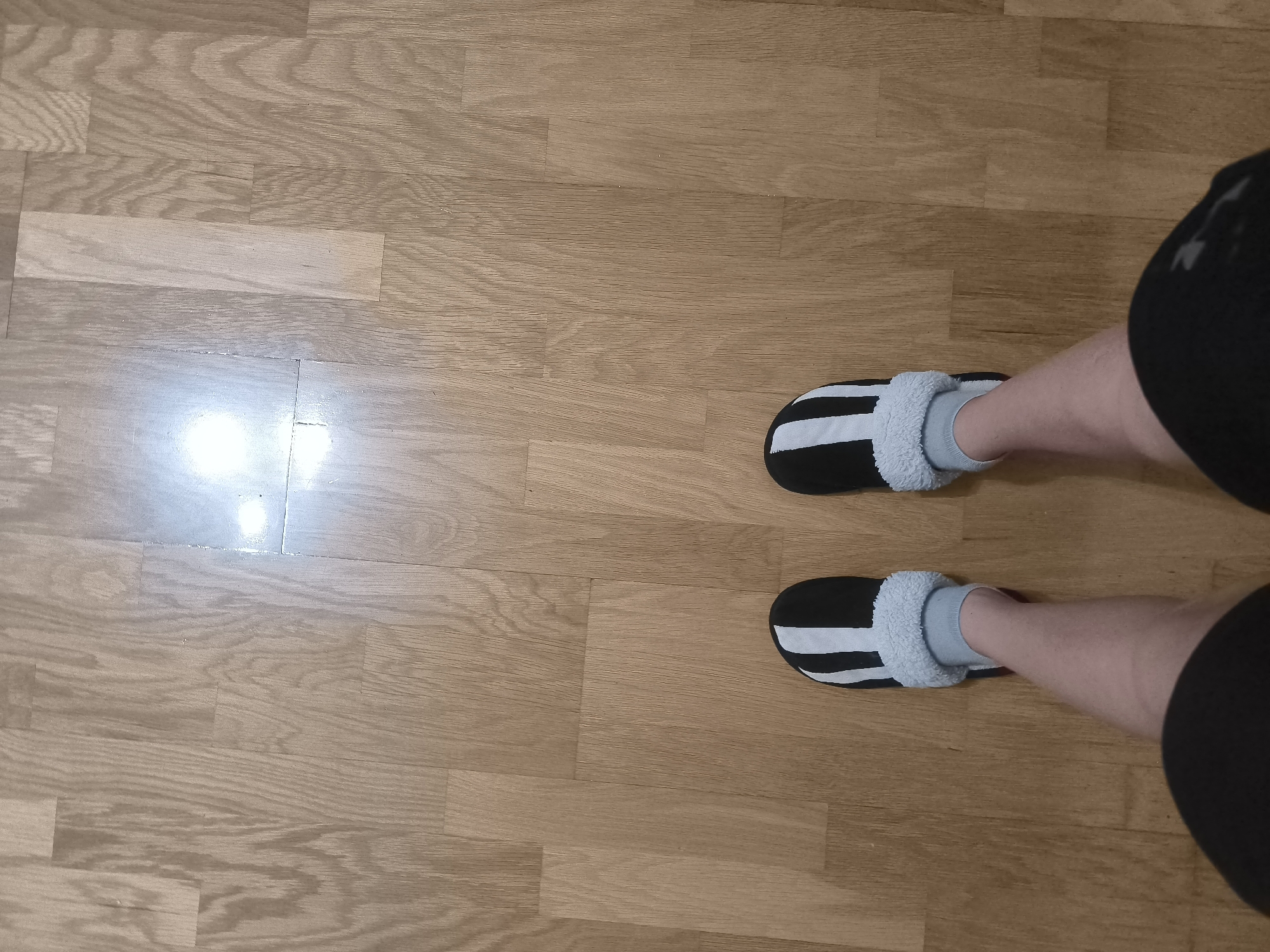 A pair of feet wearing black and white striped slippers with light blue fuzzy trim are positioned on a light brown wooden floor. The slippers are oriented parallel to each other, with the right slipper slightly forward of the left. The wooden floor displays a visible grain pattern and is illuminated by a bright light source reflecting off its surface, creating a white glare in the upper left quadrant of the image. The legs and lower torso of an individual are partially visible, wearing black athletic shorts or pants. The scene is indoors, on a floor likely in a residential setting.