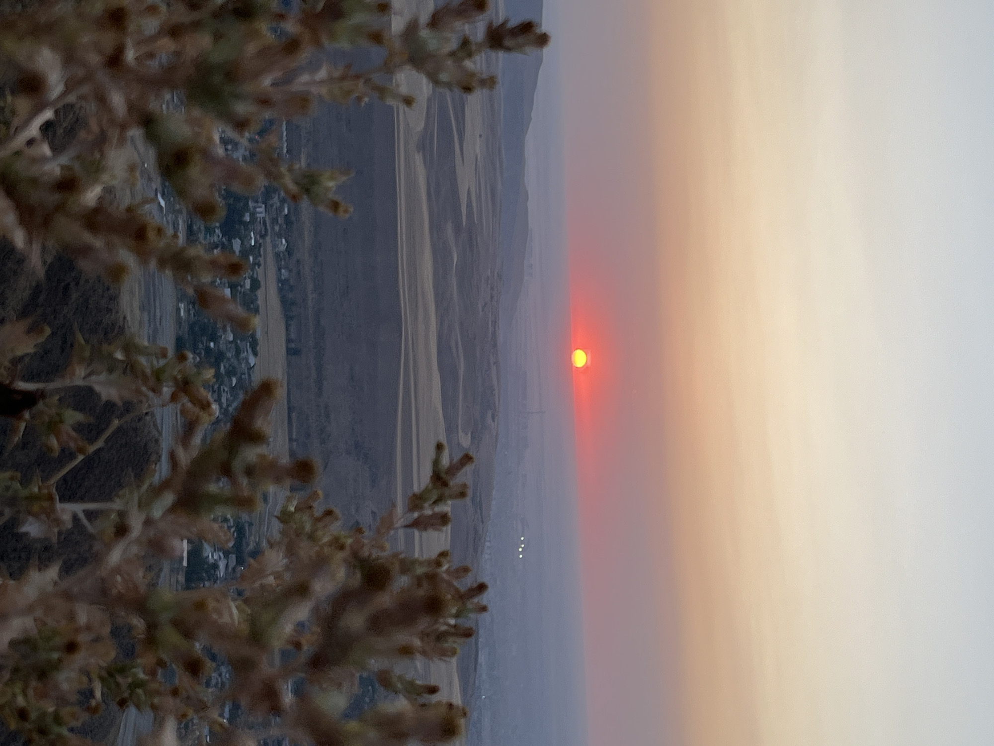 The image depicts a scenic view of a sunset over a valley, with the city of Besh Kungei, Kyrgyzstan, visible in the distance. In the foreground, blurred branches of a plant frame the scene. The sky is a gradient of soft oranges and pale blues, with the bright, red sun low on the horizon. The middle ground shows rolling hills and agricultural fields, appearing muted in color due to the hazy atmosphere and fading light. Further in the distance, the city of Besh Kungei is discernible as a collection of buildings and infrastructure, some of which are illuminated by artificial lights, creating a contrast with the natural landscape. The overall impression is one of tranquility and the expansive beauty of nature at dusk, with a human settlement nestled within the landscape.