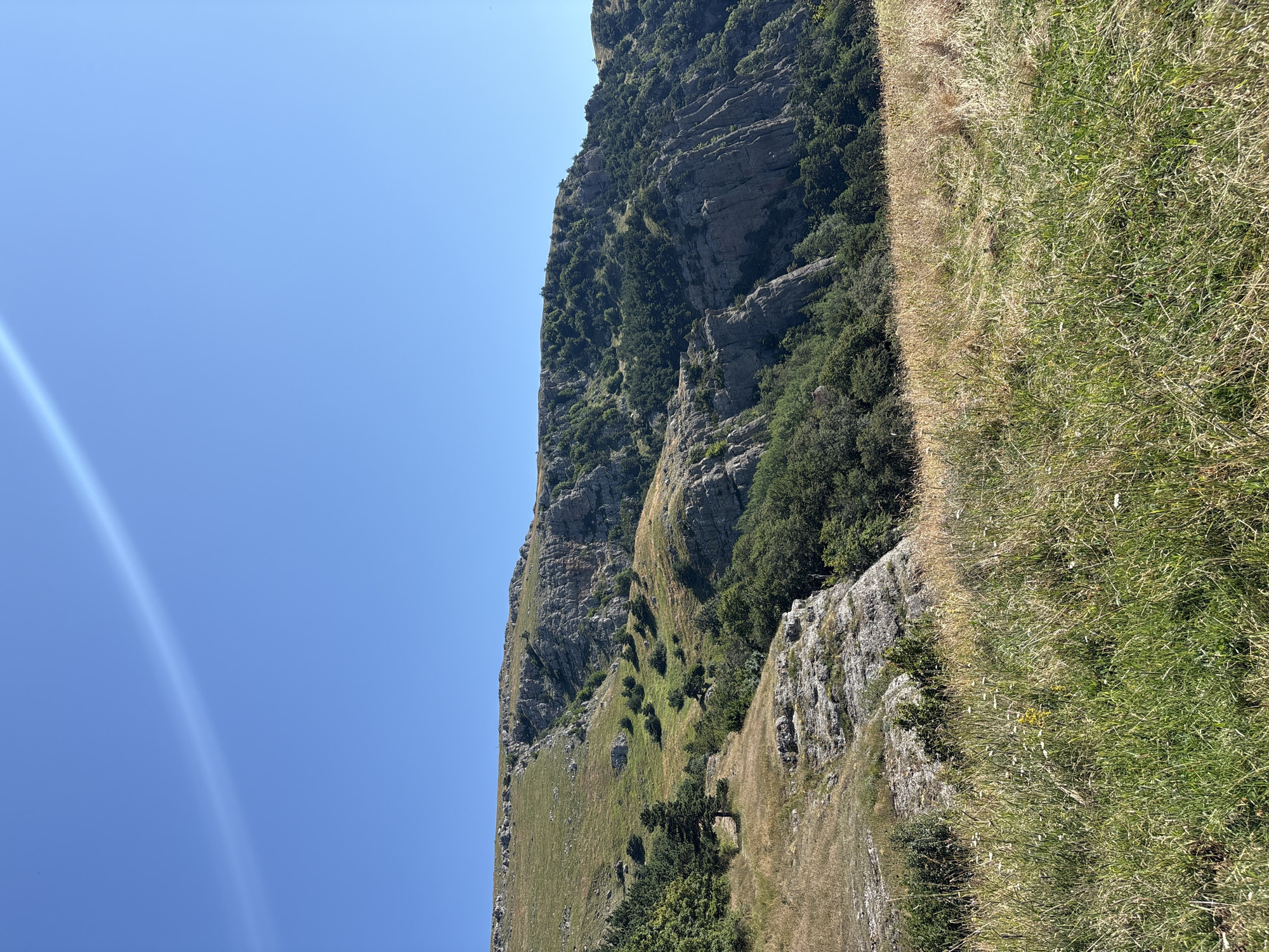 The image depicts a rocky mountainous landscape under a clear blue sky. In the foreground, there is a field of tall, dry grass interspersed with some green vegetation and small white wildflowers. The middle ground features a steep, rocky slope covered with sparse green trees and shrubs. The background shows the summit of the mountain, which is a plateau with some vegetation and rocky outcrops. A subtle lens flare is visible in the upper left portion of the sky. The scene is natural and undeveloped, suggesting a wilderness or park area. The location is identified as Unknown, Ukraine. There are no people or animals visible in the image.