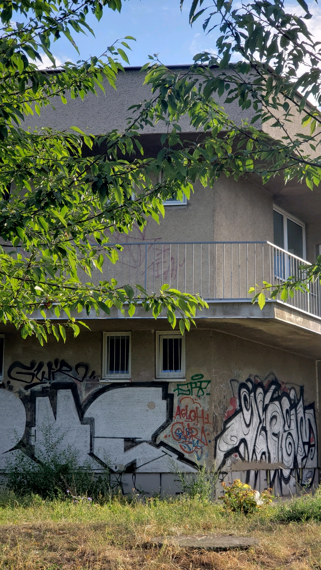 The image shows the lower portion of a building with several windows, a balcony with a metal railing, and extensive graffiti on the lower wall. Lush green foliage from trees partially obscures the upper part of the building and the balcony. The graffiti is colorful and varied, with large, stylized lettering dominating the lower section of the wall. There is dry grass and some weeds in the foreground. The sky is visible through the tree branches. The building appears to be an apartment building. The scene is a street view, likely in an urban setting.