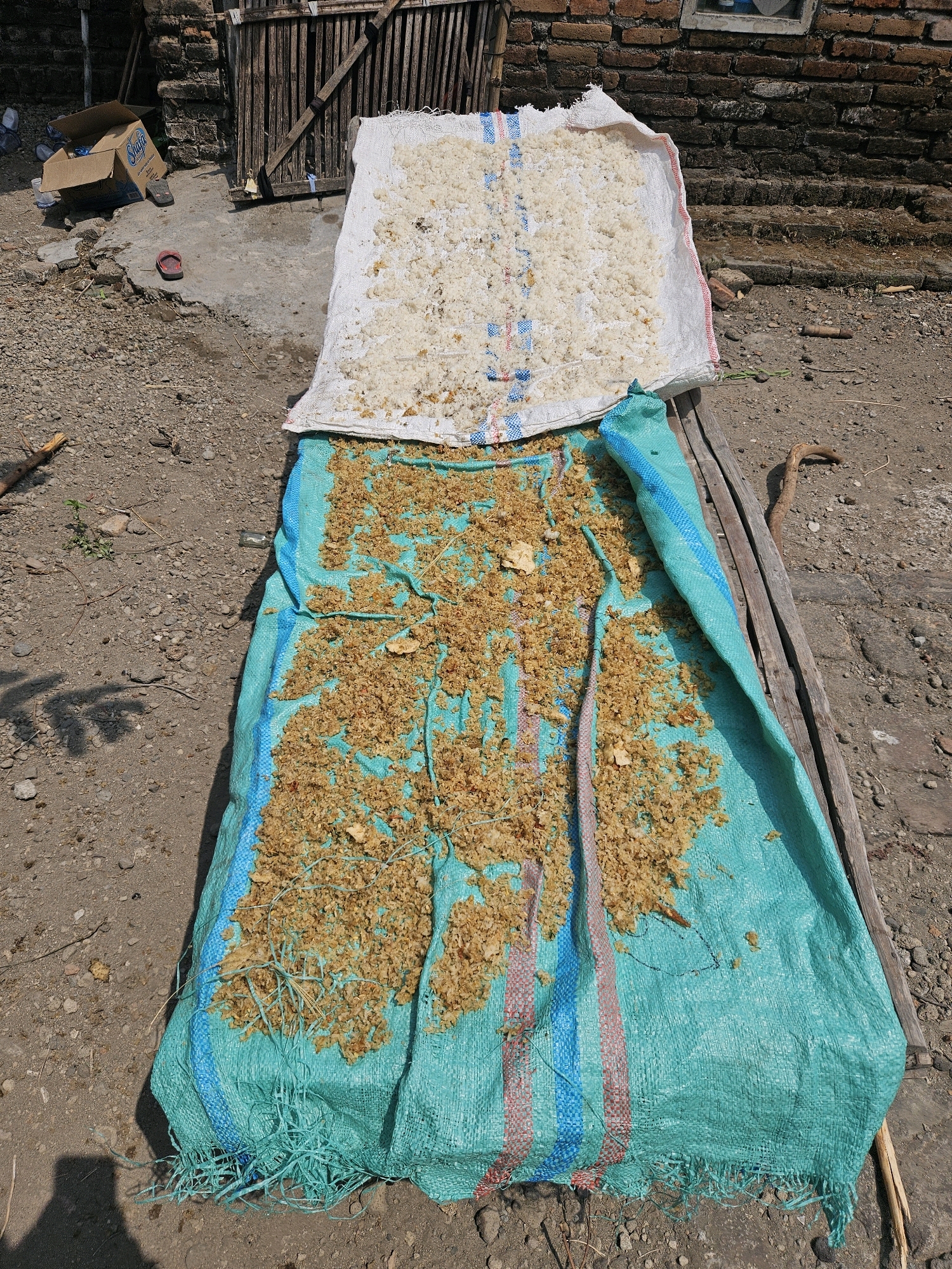 In Kampungbaru, Indonesia, a scene unfolds in an outdoor, unpaved area with a brick wall and wooden structure in the background. The foreground is dominated by a large, turquoise tarp laid out on the ground. On the tarp, a significant amount of dry, granular material, appearing yellowish-brown and perhaps food-related, is spread out, possibly for drying. Partially overlapping the turquoise tarp and placed higher is a white tarp, also containing a lighter colored granular substance. Several pieces of wood and debris are scattered around the tarps and on the ground. To the left, a cardboard box and a red sandal are visible, along with some scattered stones and dry vegetation. The overall impression is one of an outdoor food processing or drying operation in a rustic setting.