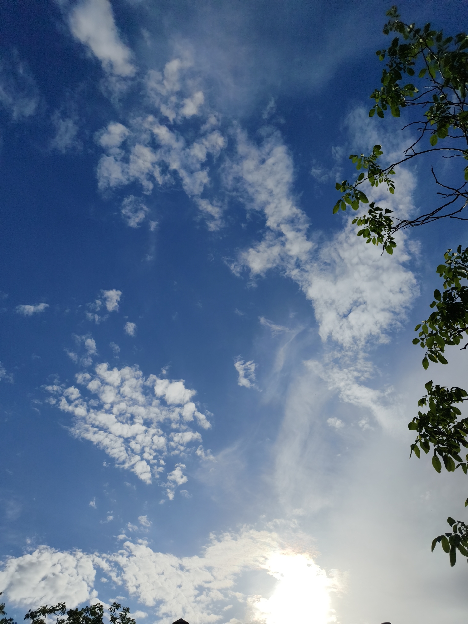 The image is a low-angle shot of the sky in Kryvyi Rih, Ukraine. The sky is predominantly blue with scattered white cumulus clouds and thin cirrus clouds. In the bottom portion of the image, bright sunlight is visible through a thick layer of clouds. Green foliage from trees or bushes frames the right side and partially obscures the bottom of the image.