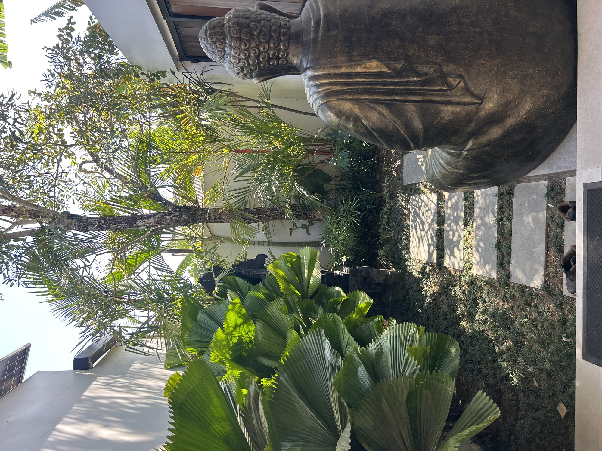 A Buddha statue in the rear of the image faces a lush garden in Mengwi, Indonesia. The statue is made of bronze and has a detailed robe and coiled hair. The garden features large fan-shaped leaves, palm trees, and other greenery. A stone pathway made of square pavers leads through the garden. The scene is illuminated by natural sunlight, casting shadows on the ground. The background includes a white wall, a solar panel, and a wooden door.