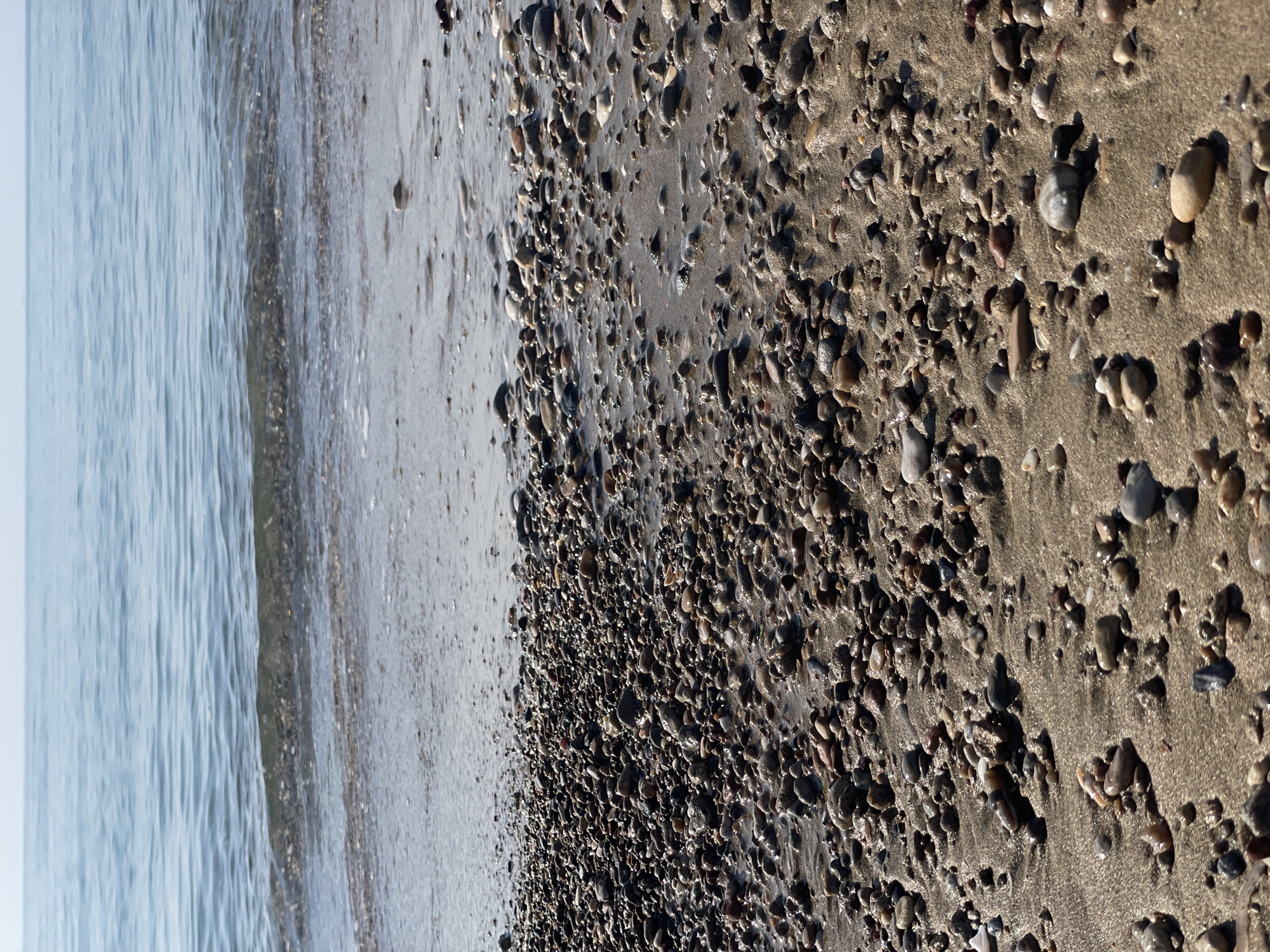 The image captures a close-up view of a beach in Trikomo, Northern Cyprus. The foreground is dominated by a sandy shore covered with numerous small, smooth pebbles of varying colors, including grays, browns, and whites. A thin layer of shallow water glistens on the sand, reflecting the sunlight. Gentle waves lap at the shore, creating a subtle ripple effect on the water's surface. The background shows the calm, blue expanse of the sea meeting a pale, hazy sky. There are no people or man-made structures visible in the frame.