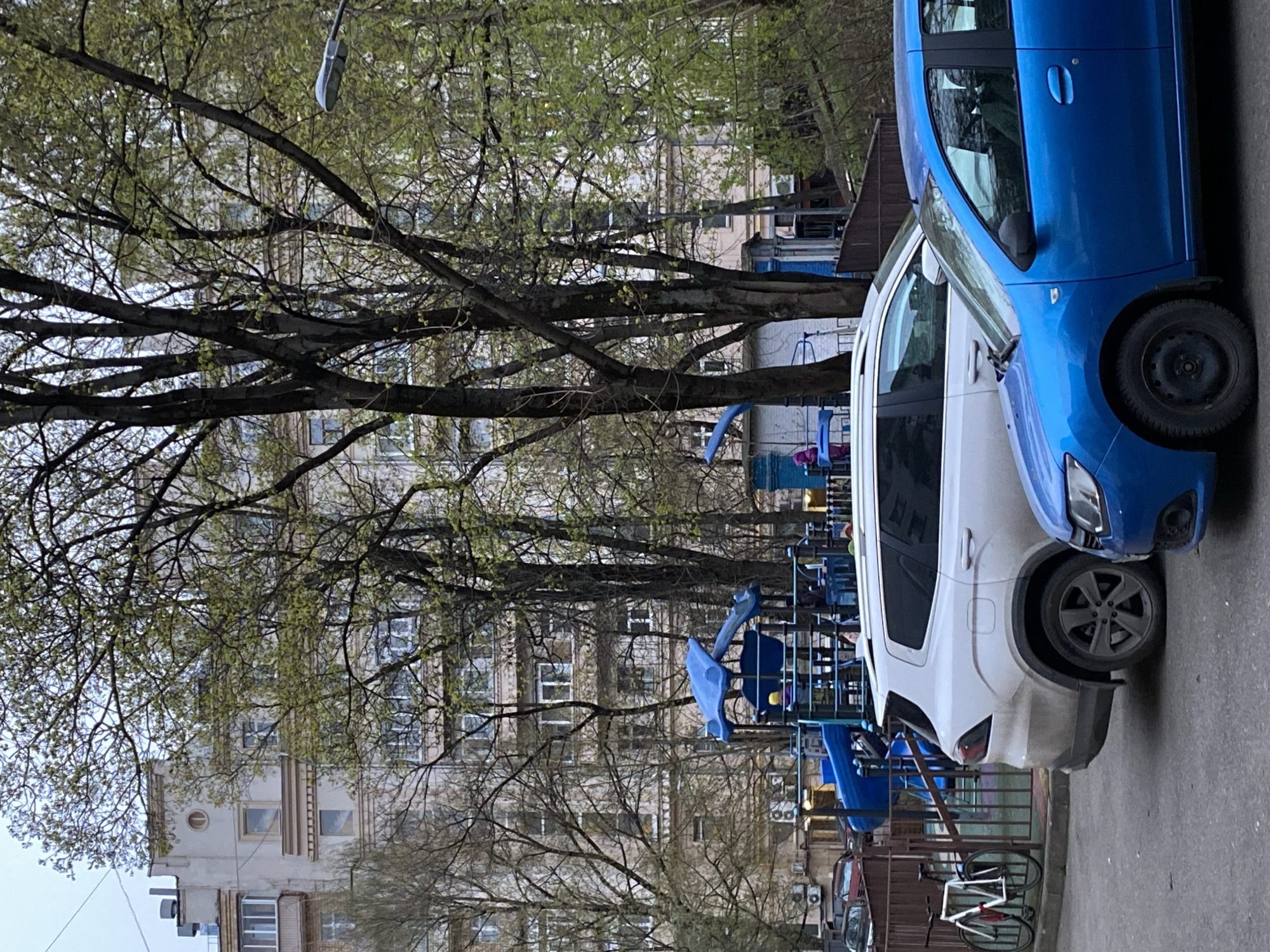 The image, rotated 90 degrees clockwise, captures an urban street scene during early spring. In the foreground, two cars are parked on a paved surface. Closest to the viewer is a bright blue hatchback, positioned in the middle-right of the frame. Behind it and slightly to its left is a white SUV or crossover. A white bicycle with black wheels and a red frame accent is partially visible in the lower right, leaning against a dark metal fence or railing.
Large deciduous trees with nascent, light green leaves dominate the left and central parts of the image, indicating the season is early spring. Their branches form a dense network, partially obscuring the background. Through the tree cover, multi-story residential buildings are visible, characterized by light-colored facades, numerous windows, and some architectural detailing like cornices.
In the mid-ground, behind the cars and integrated with the trees, a children's playground structure with blue and possibly yellow elements, including slides and climbing apparatus, is visible. A single streetlight fixture hangs from above, partially obscured by tree branches near the top center of the image.
The scene is tranquil, depicting an ordinary daytime moment in a residential area, likely under an overcast sky as the light is diffused. No people are visible, and there is no discernable text within the frame. The location is Moscow, Russia.