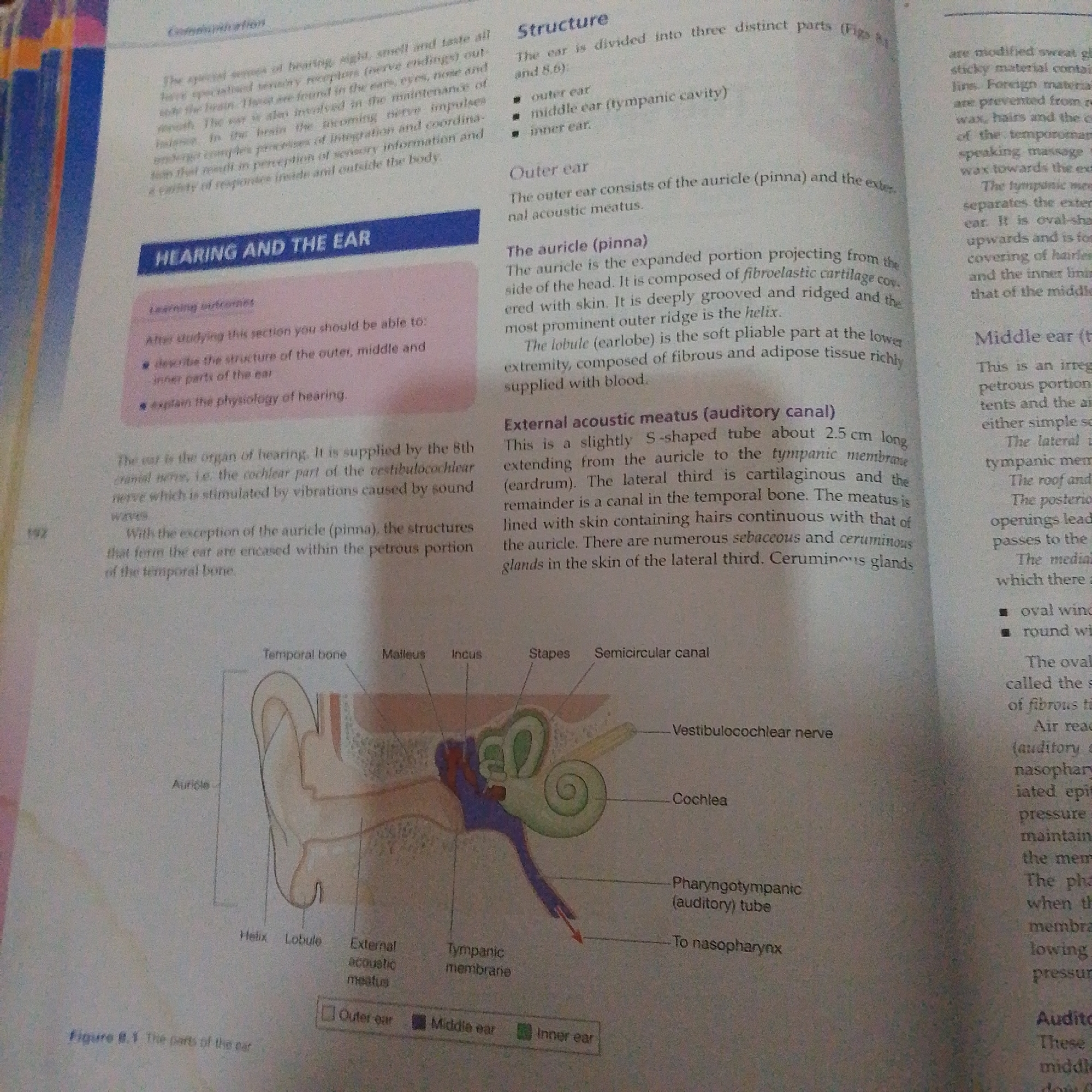 The image is a scanned page from a biology textbook. The page discusses the human ear and its structure. There is a diagram illustrating the different parts of the ear, including the outer ear, middle ear, and inner ear. Labels point to specific components like the auricle, external acoustic meatus, tympanic membrane, ossicles (malleus, incus, stapes), cochlea, and the vestibulocochlear nerve. The text explains the function and composition of these parts. There is no information about the city of Jalingo, Nigeria, or any individuals present.