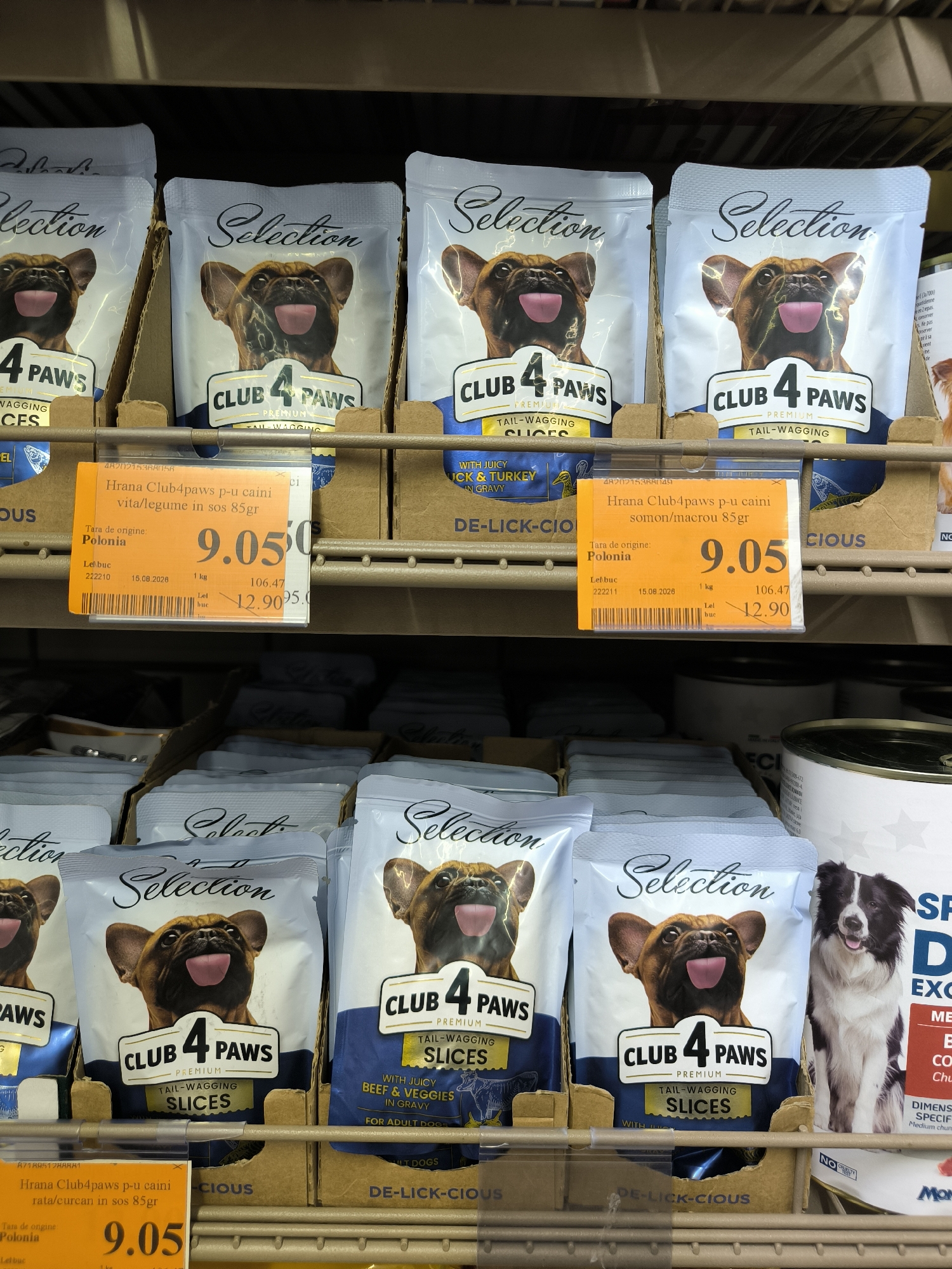 A close-up, eye-level shot captures a shelf in a retail environment, likely a pet store or supermarket aisle, featuring multiple packs of dog food. The products are predominantly "CLUB 4 PAWS PREMIUM" branded, with "SELECTION" prominently displayed in stylized script. The packaging showcases images of dogs, specifically a French Bulldog with its tongue out, and in one instance, a Border Collie. The dog food is presented in pouches, with varying flavors indicated by text like "TAIL-WAGGING SLICES" and descriptions such as "BEEF & VEGGIES IN GRAVY."
Several packs are in focus, revealing pricing information and origin details. One price tag, in Romanian, displays "9.05" as the current price and "12.90" as a previous price, with "1 kg" indicating the weight. The origin of the product is stated as "Polonia." The background consists of more shelves stocked with similar items and partially obscured canned goods. The overall lighting is bright and even, suggesting indoor retail illumination. The image appears to be taken in Chișinău, Moldova, based on the Romanian text on the price tag, which is the official language of Moldova.