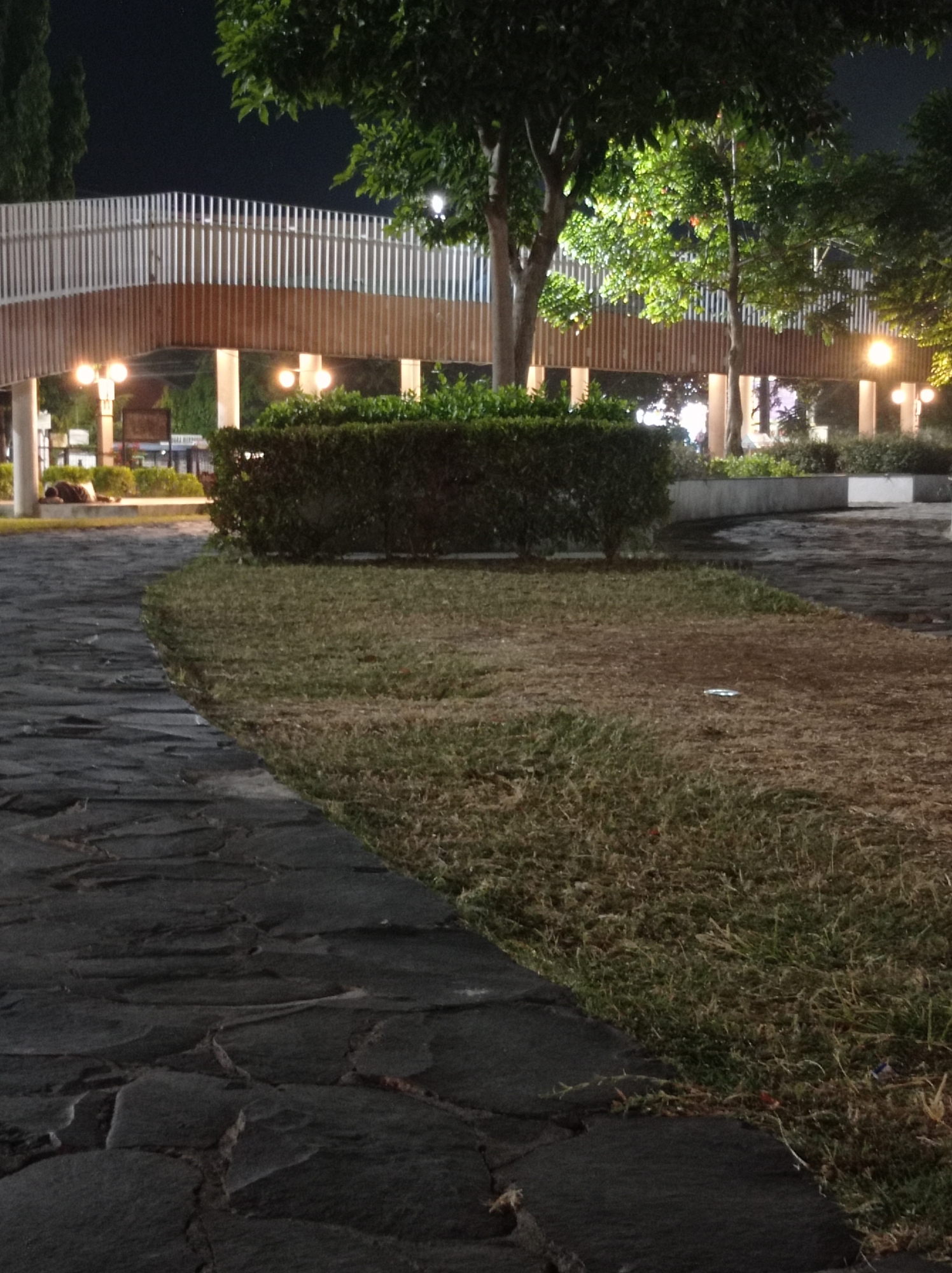 The image shows a park area at night. In the foreground, there is a cobblestone path made of irregular dark stones. To the right of the path is a patch of dry grass. In the midground, there is a long, rectangular hedge. Behind the hedge, a curved structure with wooden slats and a white railing is visible, appearing to be a pedestrian walkway or bridge. Several streetlights with warm illumination are placed along the walkway and among the trees. A large tree with dense green foliage is prominent on the left side of the walkway. In the background, there are more trees and some structures that are dimly lit. On the left side of the image, near the hedge, a person is lying down on the ground, appearing to be asleep or resting. The overall impression is of a public park in an urban environment at night, with artificial lighting illuminating the scene. The location is identified as Tegal, Indonesia.