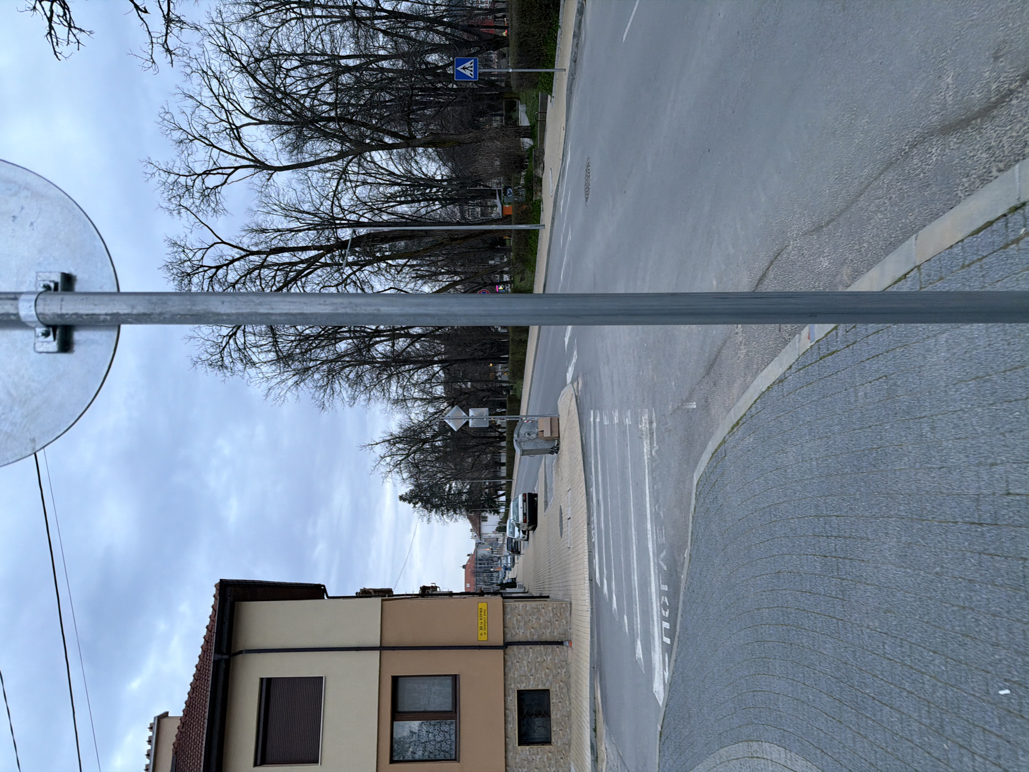 The image depicts a street scene in Panagyurishte, Bulgaria. The focus is on a street with a zebra crossing and a pedestrian crossing sign visible further down the road. A building with beige and brown facade is on the left side of the street, a yellow rectangular sign is on the building wall. A metal pole and sign are prominently in the foreground, partially obstructing the view. Bare trees line the roadside. The sky is overcast. Cars are parked along the street further down. The pavement on the right side of the street is made of gray paving stones.