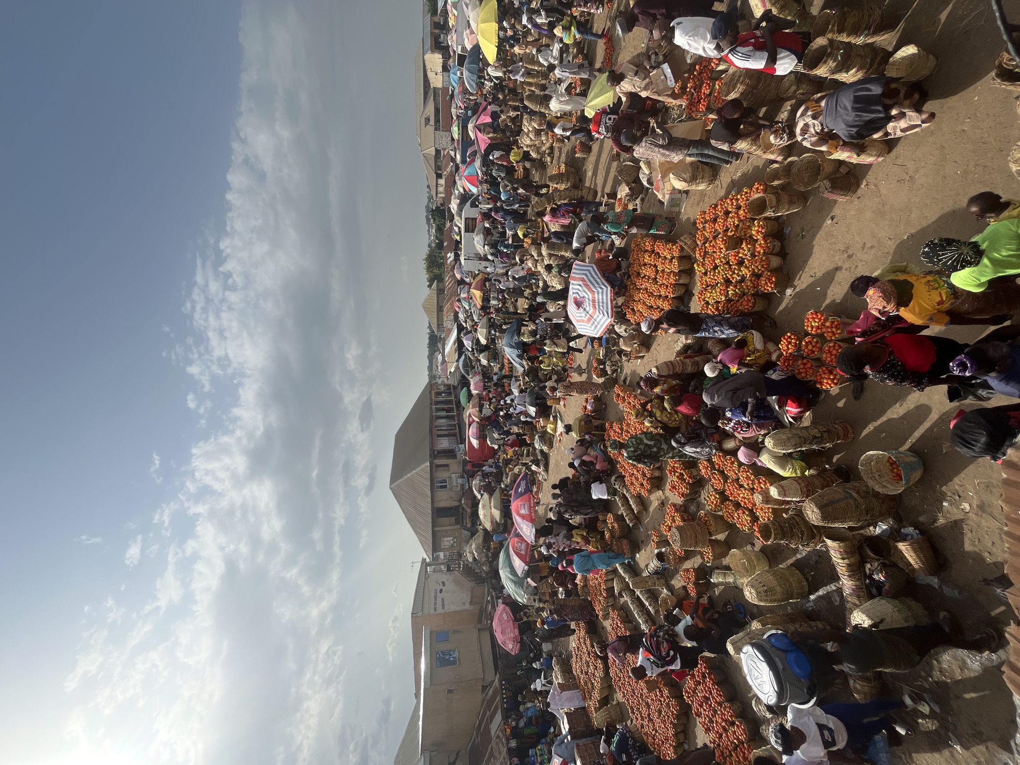 This is a high-angle, outdoor, wide shot of a bustling tomato market, likely located in the city of Rafin Par, Nigeria, under a partly cloudy sky. The ground is dirt, and the market is filled with people selling and buying large quantities of red tomatoes, displayed in numerous woven baskets and large piles. The scene is crowded, with many individuals wearing various types of clothing, including traditional attire and modern casual wear. Several vendors are seen interacting with customers, and others are tending to their produce. Umbrellas of different colors, such as red, pink, yellow, and blue, are used to provide shade for both the vendors and their goods. In the background, there are buildings, some appearing to be shops or homes, and a white truck is visible among the market stalls. The overall atmosphere is one of active commerce and community engagement.