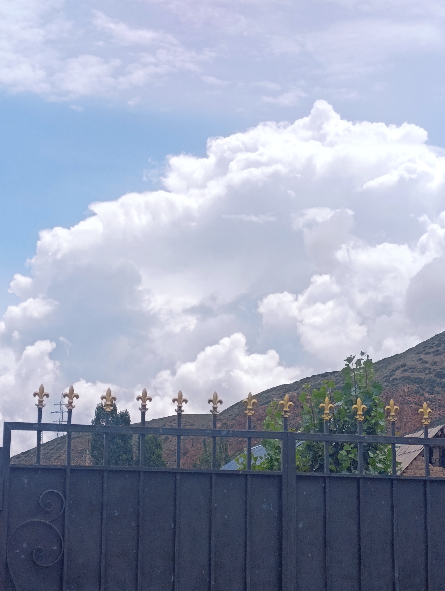 This is a medium shot of a dark metal gate in the city of Naryn, Kyrgyzstan, with a mountainous landscape and sky in the background. The gate has vertical bars and decorative scrollwork on the left. On top of the gate, there is a decorative fence with golden fleur-de-lis finials. Behind the fence, there are green trees and a slope of a mountain covered with dry vegetation. The sky is filled with large, white, puffy clouds. The lighting suggests it is daytime, likely in the late morning or early afternoon.