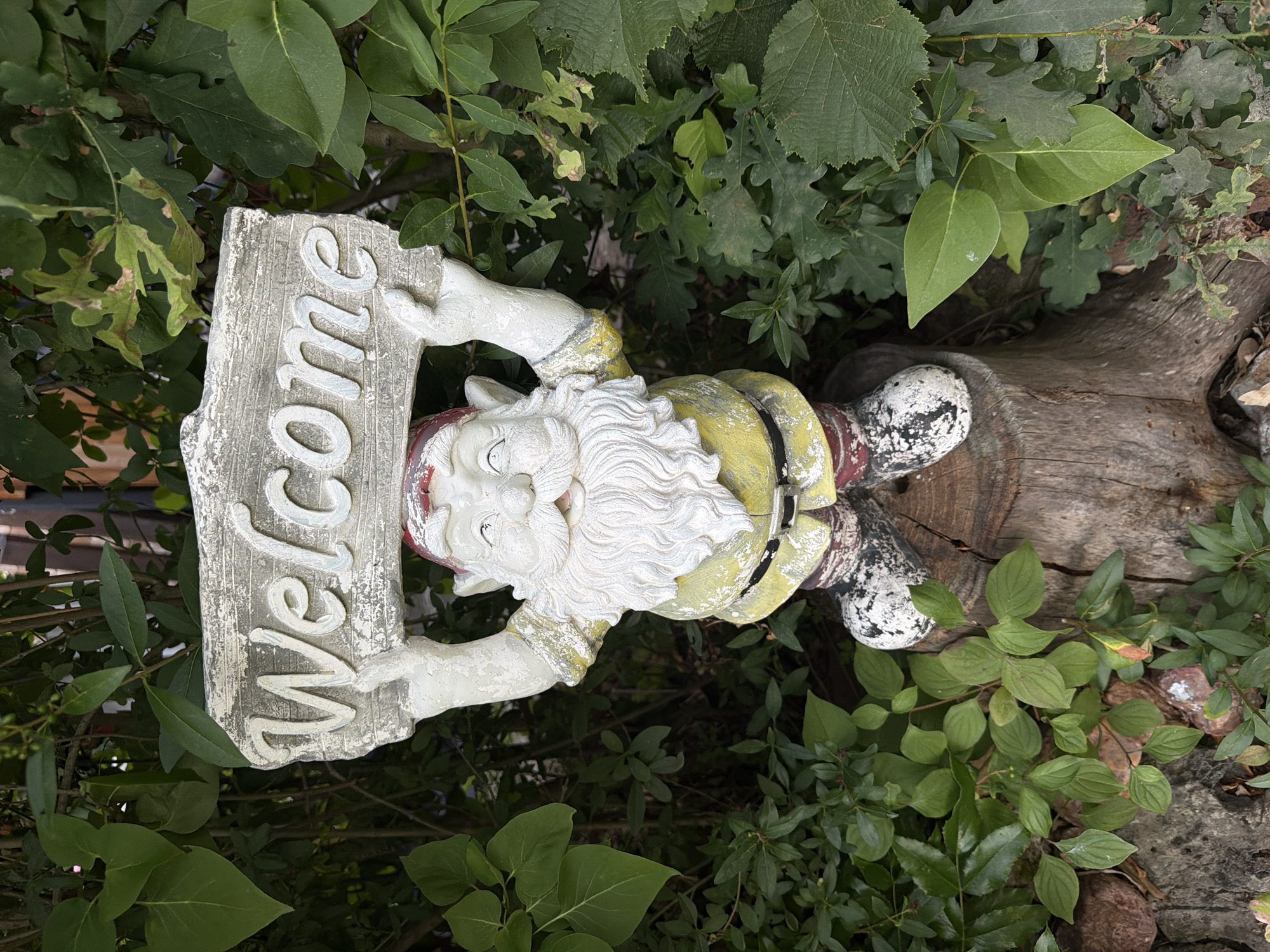 A garden gnome statue stands on a wooden stump, holding a "Welcome" sign above its head. The gnome is painted white and yellow with red accents on its hat and boots. It has a long white beard and is smiling. The gnome is surrounded by lush green foliage. The image appears to be taken outdoors in a garden setting. The location is in Bayreuth, Germany.