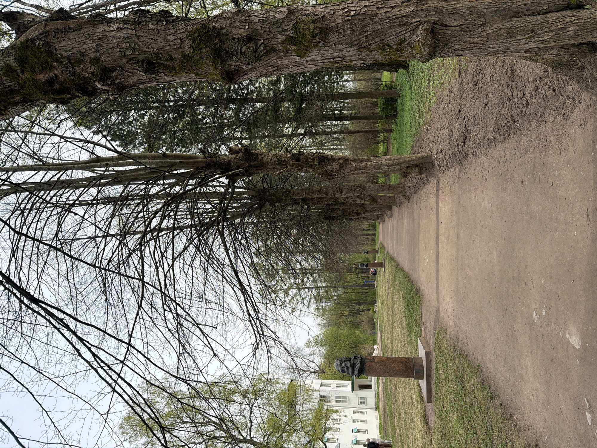 The image depicts a pathway lined with trees in Pavlovo, Russia. The path stretches into the distance between rows of trees, some bare-branched and others with budding leaves. A grassy area flanks the path, punctuated by pedestals bearing busts. In the background, a multi-story white building is visible through the trees. The sky is overcast. A few people are discernible near the building in the distance.