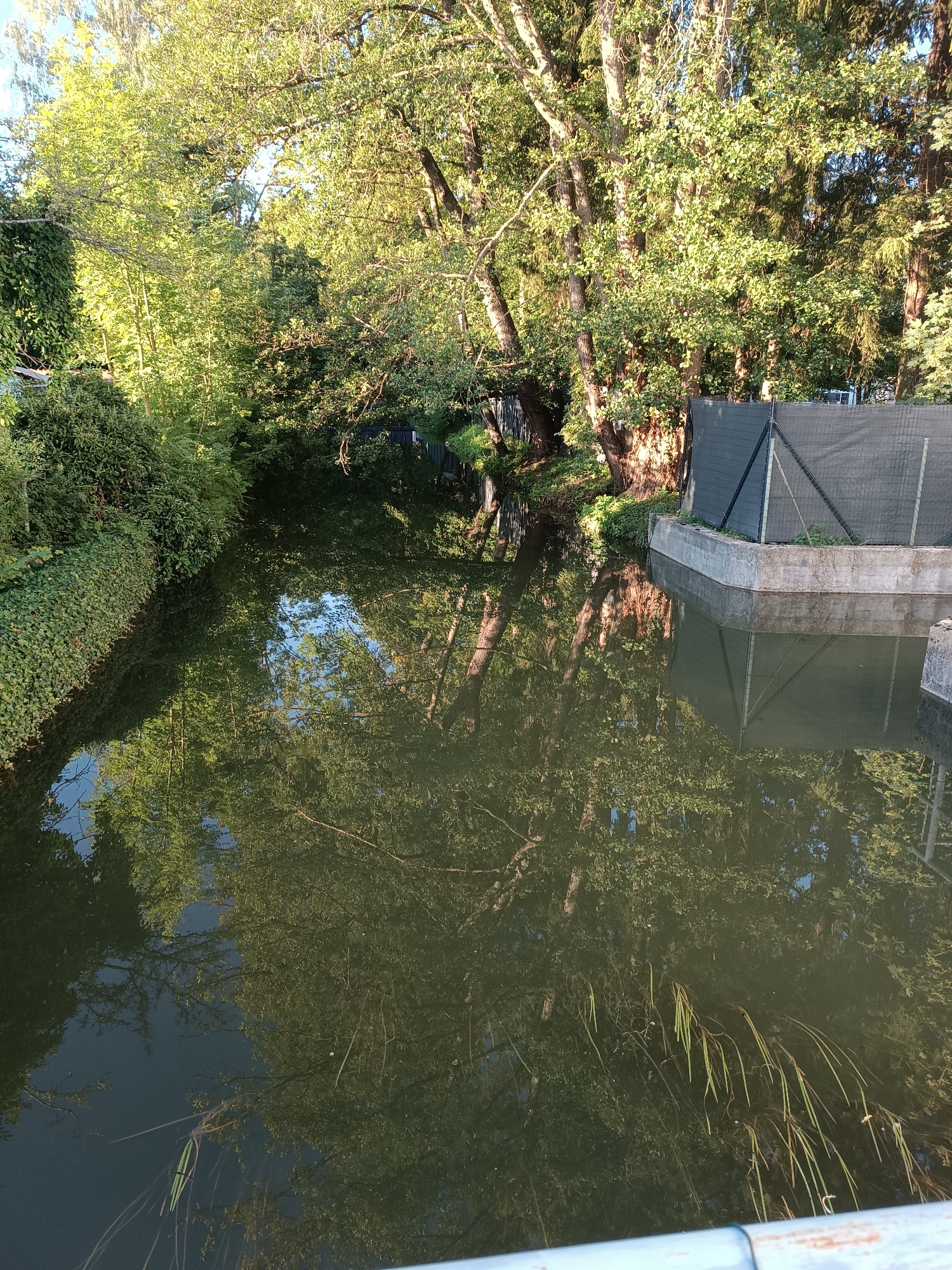 The image depicts a canal or narrow waterway lined with lush green vegetation on the left bank and trees on the right bank. The water reflects the trees and sky, creating a dappled effect. On the right bank, a concrete embankment is visible, topped with a dark mesh fence. The scene appears to be a tranquil natural setting within an urban environment, possibly in Fürstenfeldbruck, Germany, given the characteristic European urban greenery and waterways. There are no people or specific actions depicted in the image. The lighting suggests it is daytime, with sunlight filtering through the leaves.
