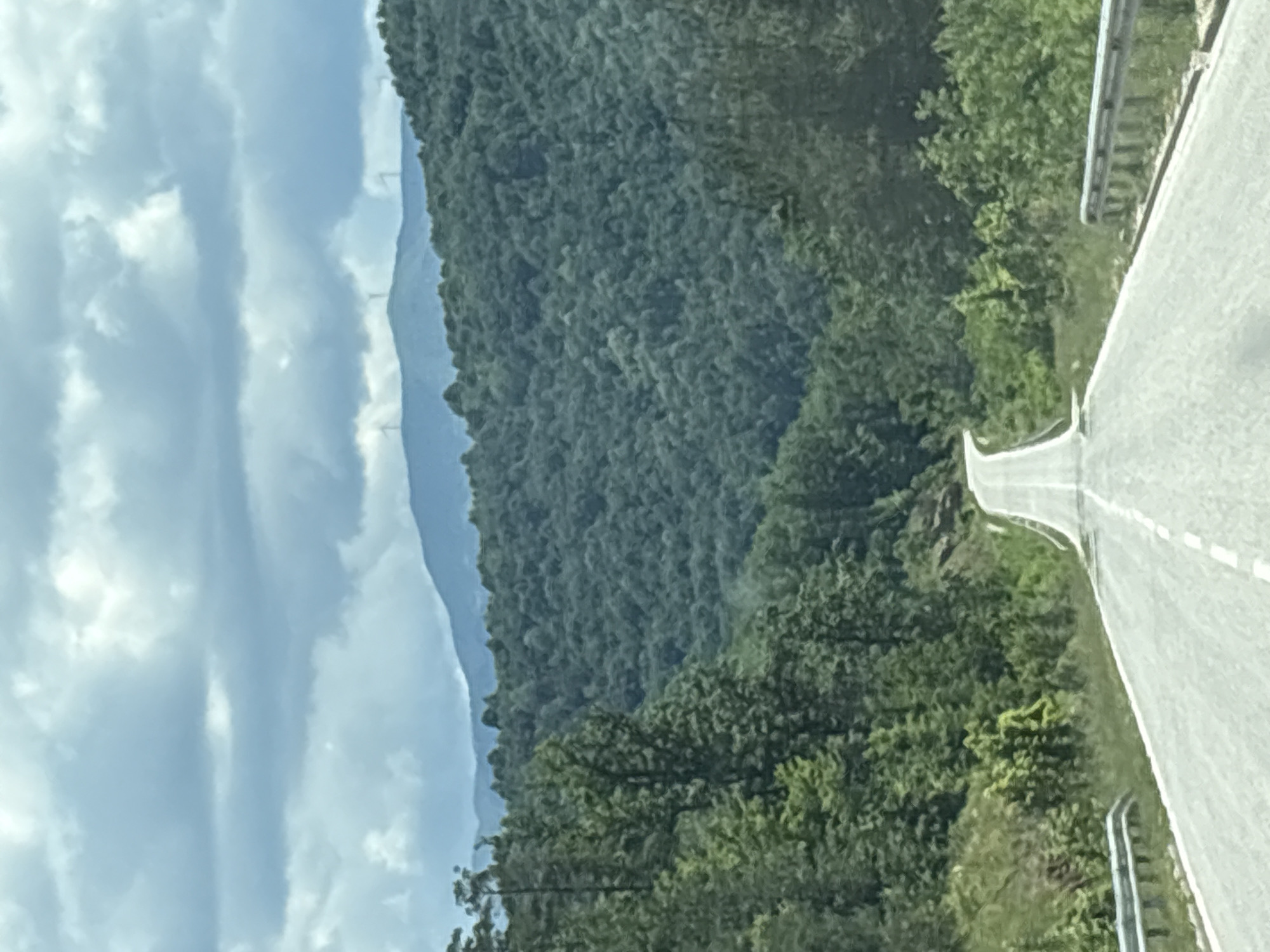 The image shows a winding asphalt road leading through a lush, green mountainous landscape. The road is bordered by metal guardrails and sparse vegetation on the left and dense trees on the right. In the distance, rolling hills covered in dark green forests stretch towards the horizon. Above the hills, a range of lighter blue mountains is visible, and above that, a cloudy sky with patches of light. Several wind turbines can be seen on the distant mountain peaks, silhouetted against the sky. The overall impression is one of a scenic, rural route in a forested mountainous region, consistent with areas surrounding Gabrovo, Bulgaria. There are no people or animals visible in the image.