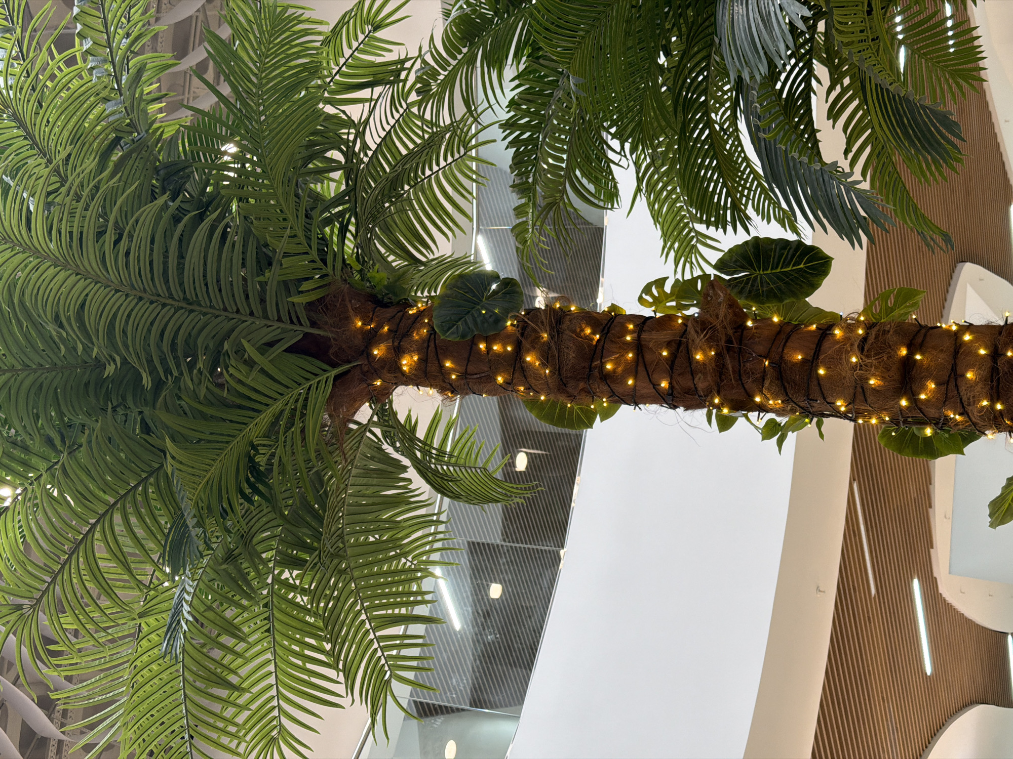 This image depicts an artificial palm tree prominently featured in a modern indoor setting, likely a commercial or public space in Izhevsk, Russia. The large palm tree's trunk is wrapped with numerous warm yellow fairy lights, creating a decorative and illuminated effect. The trunk itself appears covered in a fibrous, natural-looking material, resembling coir.
Extending from the top of the trunk are abundant, vibrant green fronds, characteristic of a palm, filling much of the left and upper areas of the frame. Larger, broader green leaves, possibly artificial Monstera plants, are also integrated around the trunk and among the fronds, adding to the tropical aesthetic.
The background reveals contemporary architectural elements, including clean white walls and ceilings, and sections of vertical wooden slatted panels. Integrated within these wooden panels are modern vertical strip lights, providing a sleek illumination. Reflective surfaces, possibly large windows or mirrors, show abstract reflections of the interior lighting and structure. The overall lighting is bright and evenly distributed, suggesting a well-maintained indoor environment.
No people are visible in the scene, and no specific event or activity is taking place; the image focuses solely on the decorative elements of the interior. The ambiance conveyed is bright, modern, and possibly festive due to the fairy lights. There is no visible text in the image.
