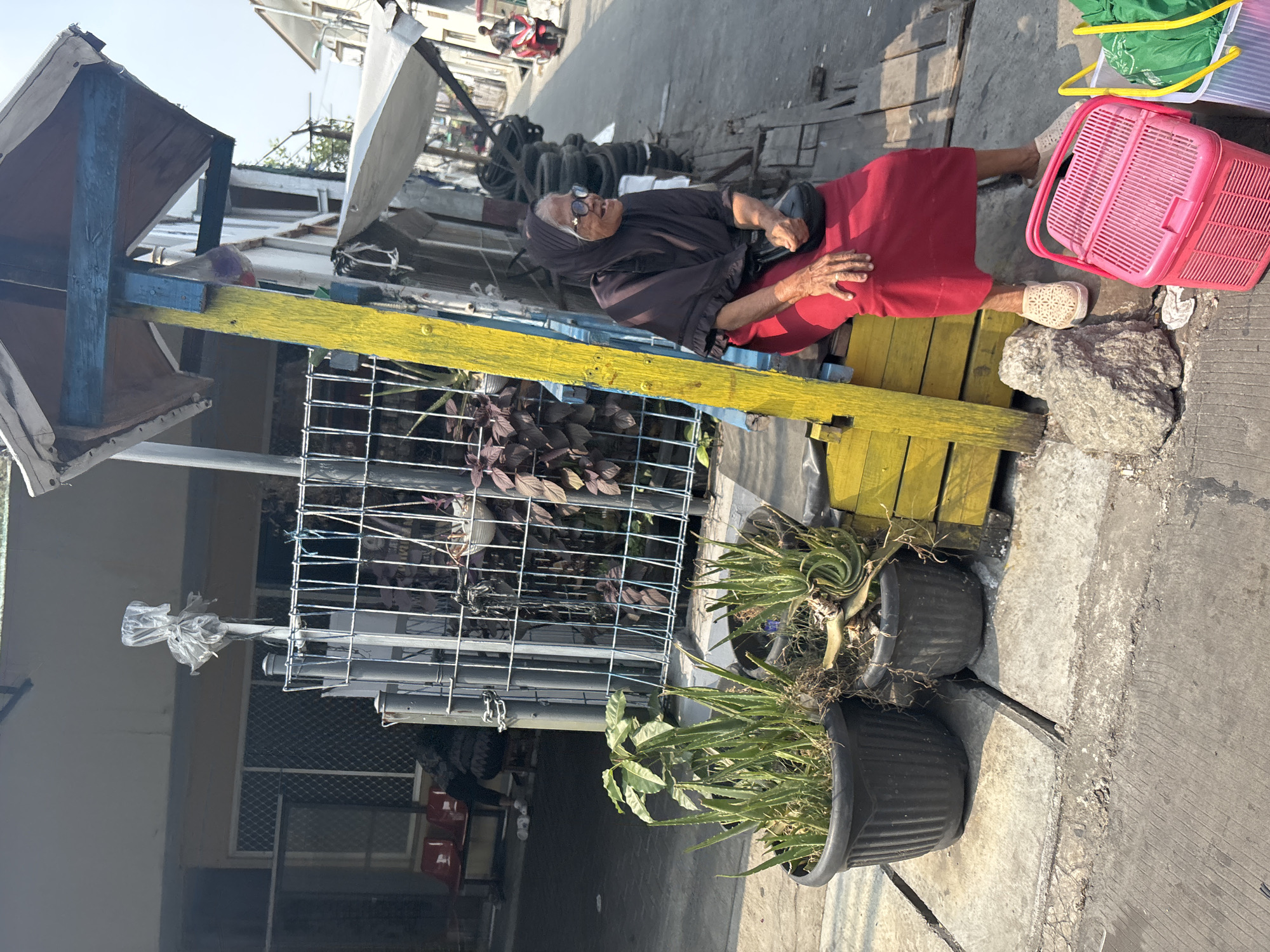 A street scene in North Jakarta, Indonesia, features an elderly woman wearing a dark brown hijab and a red skirt. She is sitting on a yellow wooden structure next to a metal fence. She is smiling and looking to her right. She wears glasses and a black bag hangs from her shoulder. Two black potted plants with green succulents are in the foreground. A pink plastic basket and a green bag are on the ground near her feet. The background shows a building with a fence and a street with a red scooter. The day is sunny.