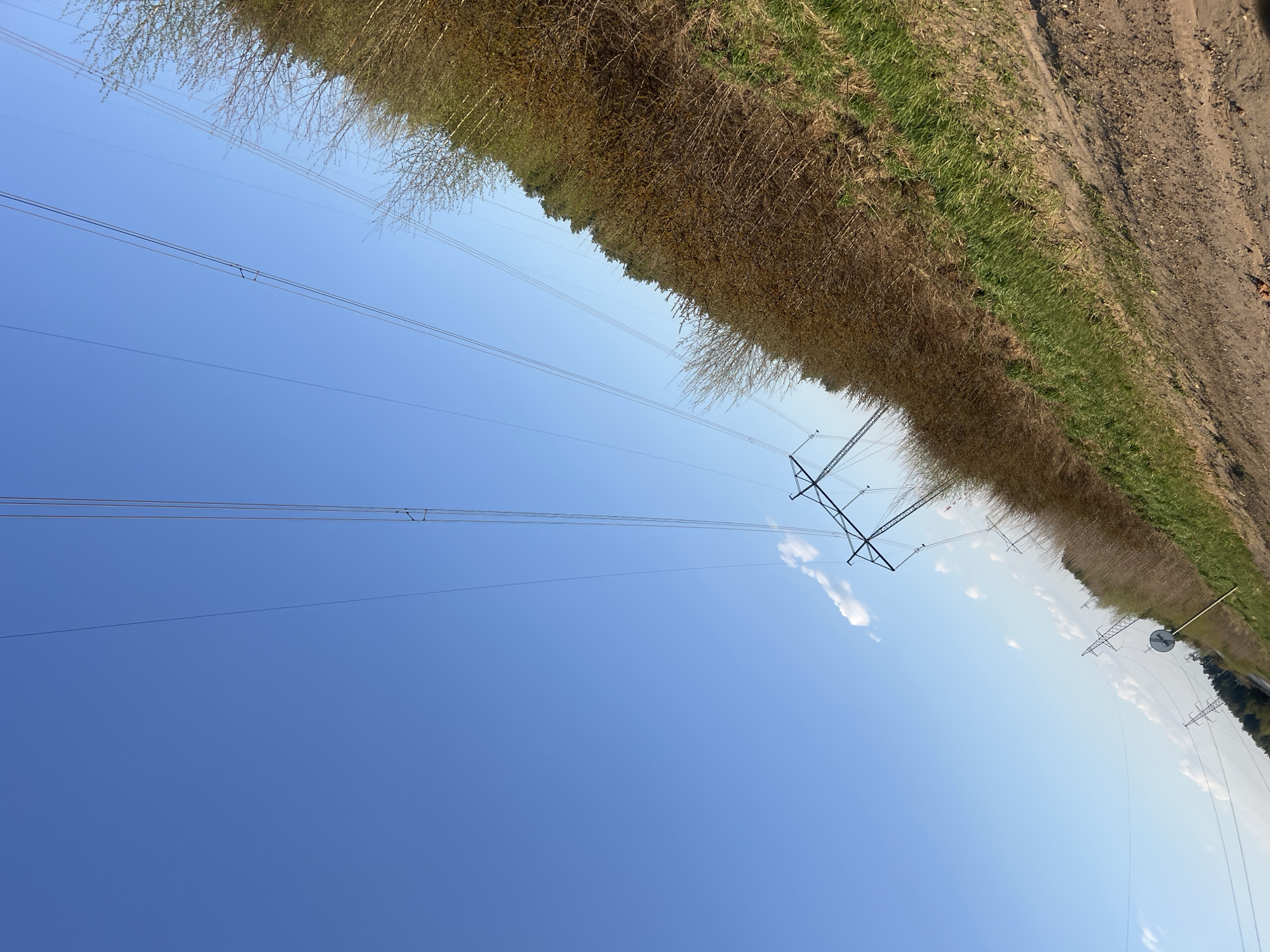 The image shows an upward-angled view of power lines stretching across a clear blue sky. Along the top of the frame, there is a line of trees with sparse foliage transitioning into a grassy area, and then a dirt path. Power line towers are visible along the length of the power lines. The image appears to be taken in a rural or semi-rural area. There is no way to confirm that the image was taken in the city of Chaikovsky, Russia without additional information. The image contains no people, subjects, or interactions.