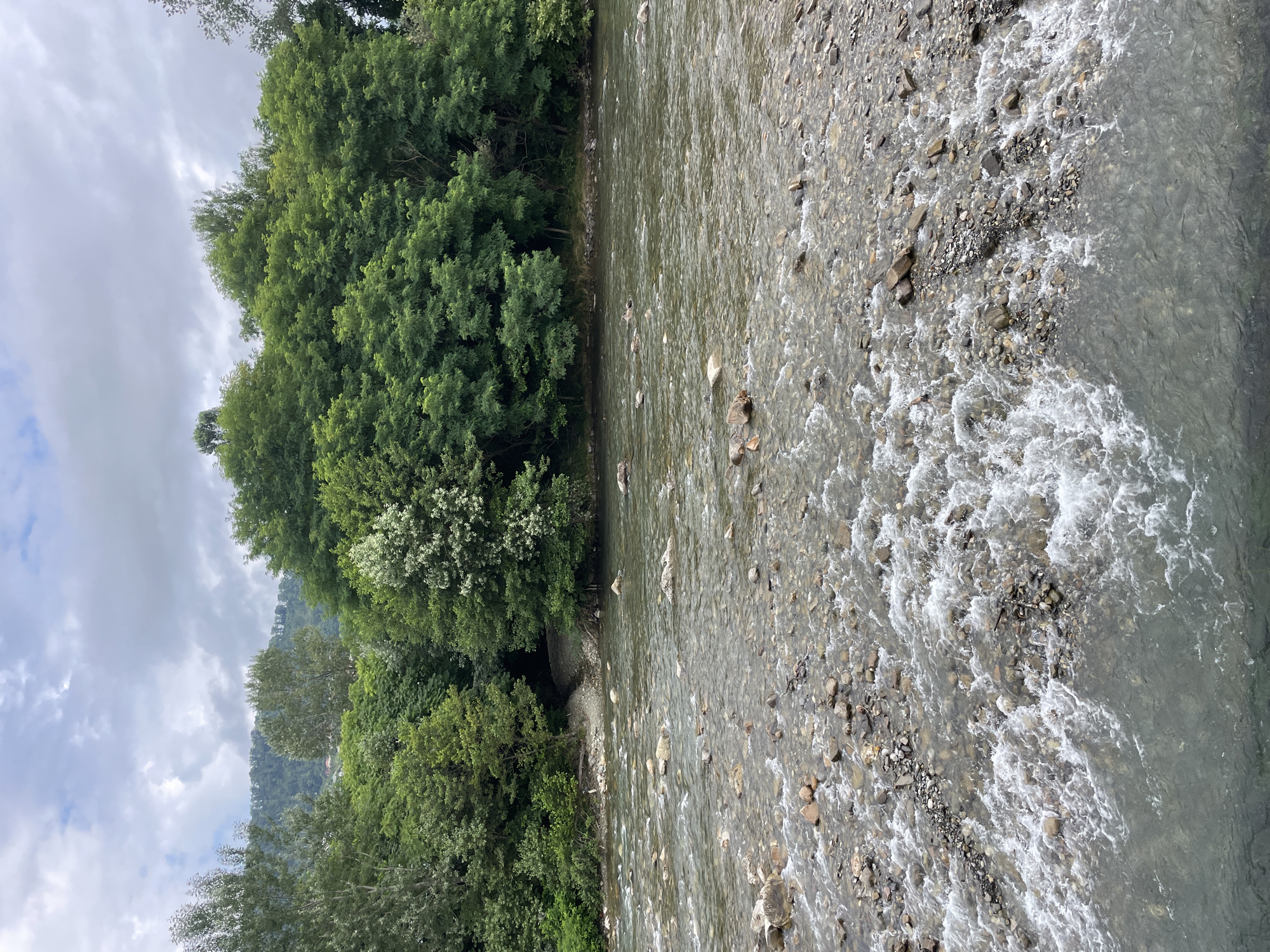The image depicts a natural scene of a clear river flowing through a rocky bed, with lush green trees and vegetation lining the opposite bank. The sky above is overcast with clouds. The river has a rocky bottom, visible through the shallow, clear water, and some larger stones are scattered in the riverbed. The vegetation on the bank is dense and appears to be a mix of deciduous trees. The scene is tranquil and appears to be a natural landscape. It is located in the city of Sochi, Russia.