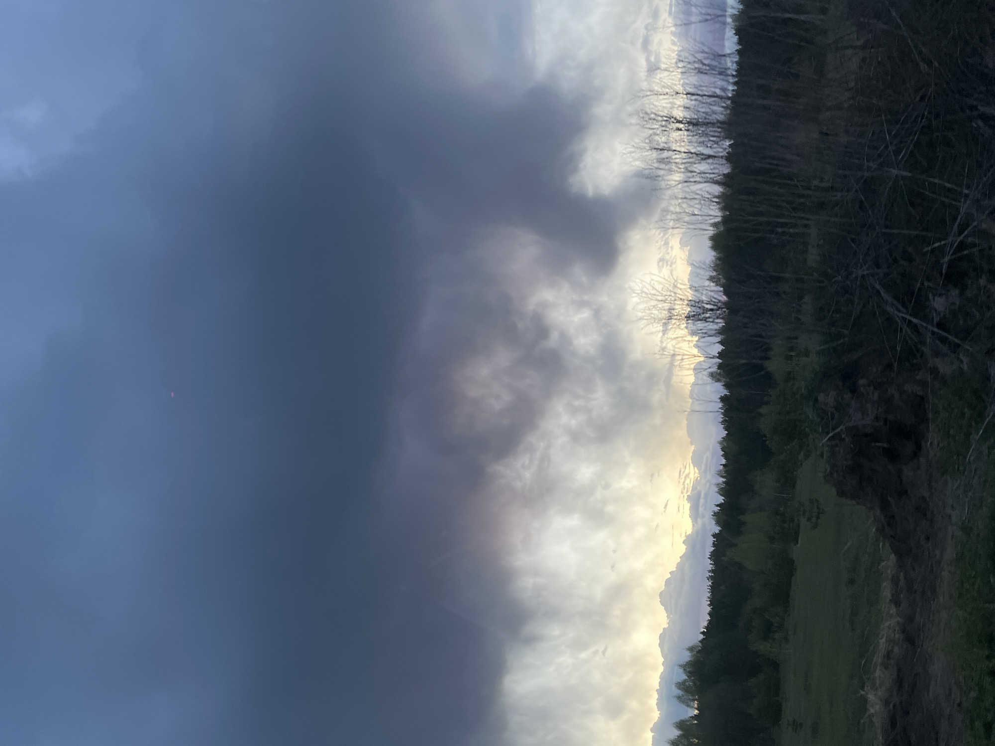 The image shows a landscape under a stormy sky. The left side of the frame is dominated by dark, ominous clouds, suggesting an approaching storm. A transition to lighter, brighter clouds is visible towards the center and right, hinting at the possibility of sunset or clearing weather.
A tree line extends along the top right portion of the image, with some bare branches visible against the lighter sky. Below the tree line, there appears to be a grassy field or meadow.
Due to the lack of detail, it is difficult to positively identify the location as the city of Гаревая in Russia. Furthermore, there are no people, apparent actions, or interactions visible. The environment is rural, characterized by a field and a tree line under a dramatic sky.