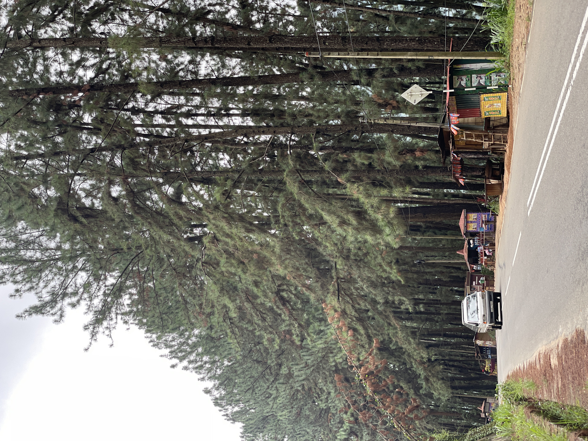 A vertical, eye-level, long shot depicts a roadside scene in Kothmale, Sri Lanka, on a cloudy day. The dominant feature is a dense line of tall coniferous trees with green foliage that stretches into the distance along the left side of the asphalt road. The trees obscure the view, allowing only glimpses of the gray sky above.
Along the right side of the road, a collection of small, makeshift shops and stalls can be seen. A silver van is parked on the road beside one of the stalls, which is adorned with posters and signage in bright colors. Vegetation, including grass and shrubs, grows along the edge of the road.
The road is marked with double white lines indicating lane separation. The asphalt is a uniform gray, showing signs of wear and possible repair in some areas.