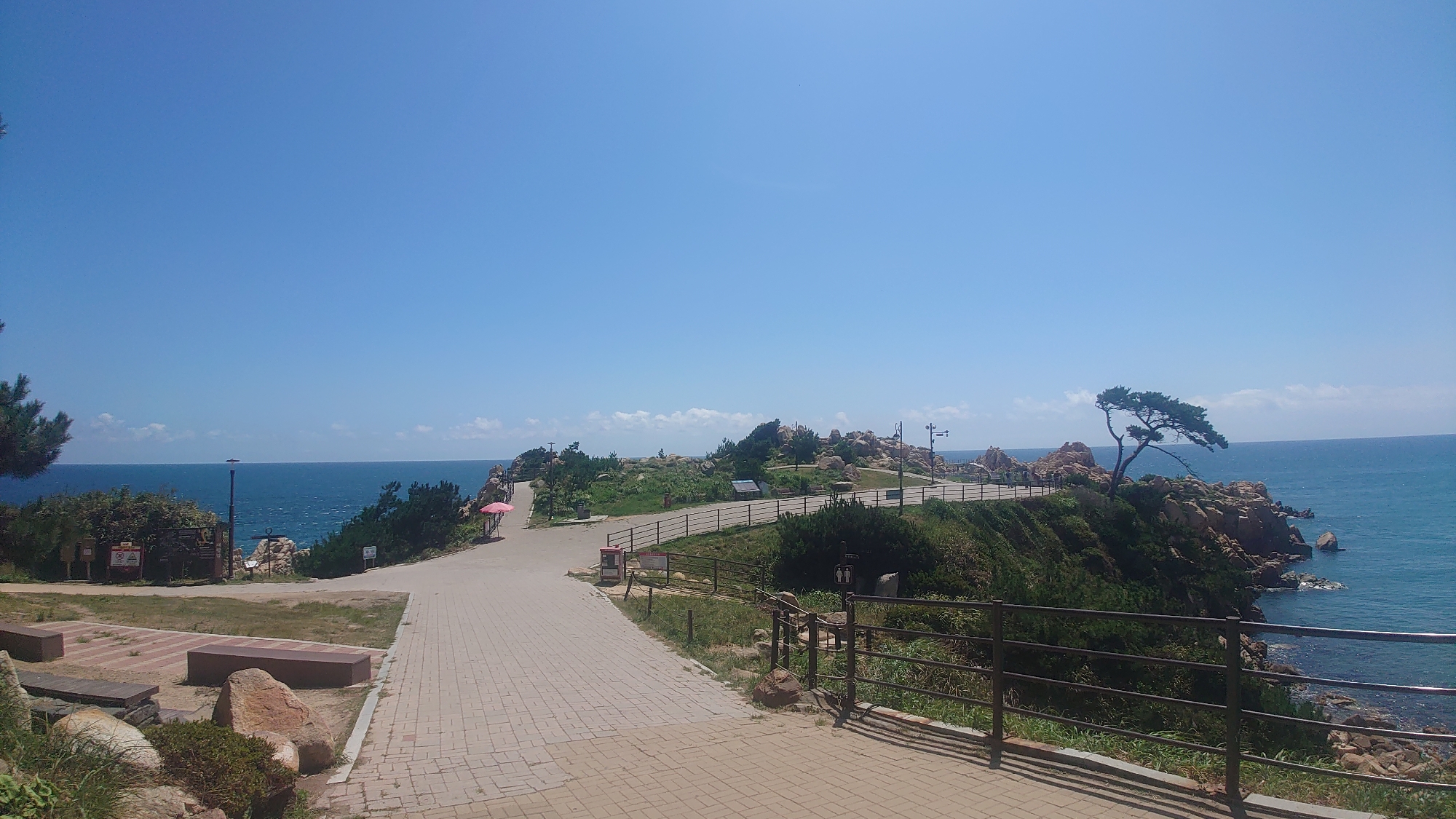 This image captures a scenic coastal view of the Sinbulsan Mountain Recreation Area in Ulsan, South Korea. A paved walkway curves along a grassy, rocky coastline under a clear blue sky. To the left, a shaded seating area with stone benches is situated near a pine tree. Further along the path, a pink umbrella stands out against the greenery, and a solitary tree with wind-swept branches clings to a rocky outcrop overlooking the ocean. The sea is a deep blue, with gentle waves lapping at the shore. The overall scene is tranquil, suggesting a public park or a scenic viewpoint designed for visitors to enjoy the natural landscape.