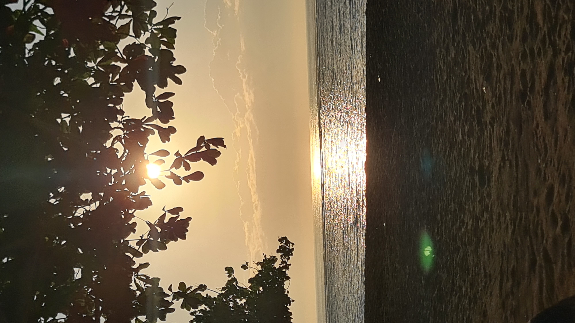 A sunset view over the ocean is captured from a beach in Denpasar, Indonesia. The sun is low on the horizon, casting a warm, golden light across the sky and the water. The sun's reflection shimmers on the surface of the ocean, creating a sparkling pathway. In the foreground, dark sand covers the beach, with some texture visible. Overhanging the scene from the top of the image are the dark silhouettes of tree branches and leaves, partially obscuring the sun and sky. A faint green lens flare is visible on the sand. The scene is tranquil and serene, evoking the feeling of a peaceful evening at the coast.